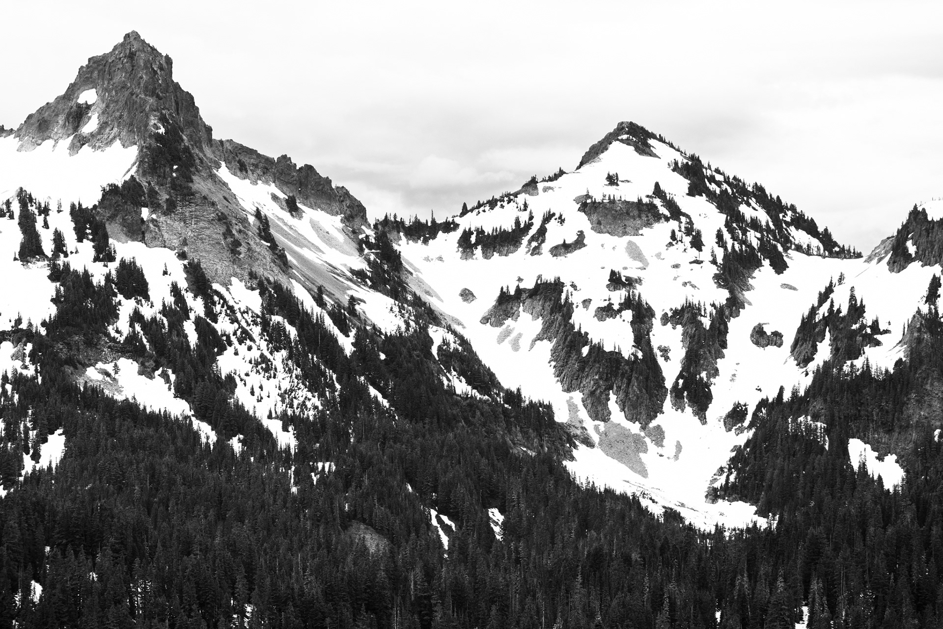 Mount Rainier National Park, USA, 2022