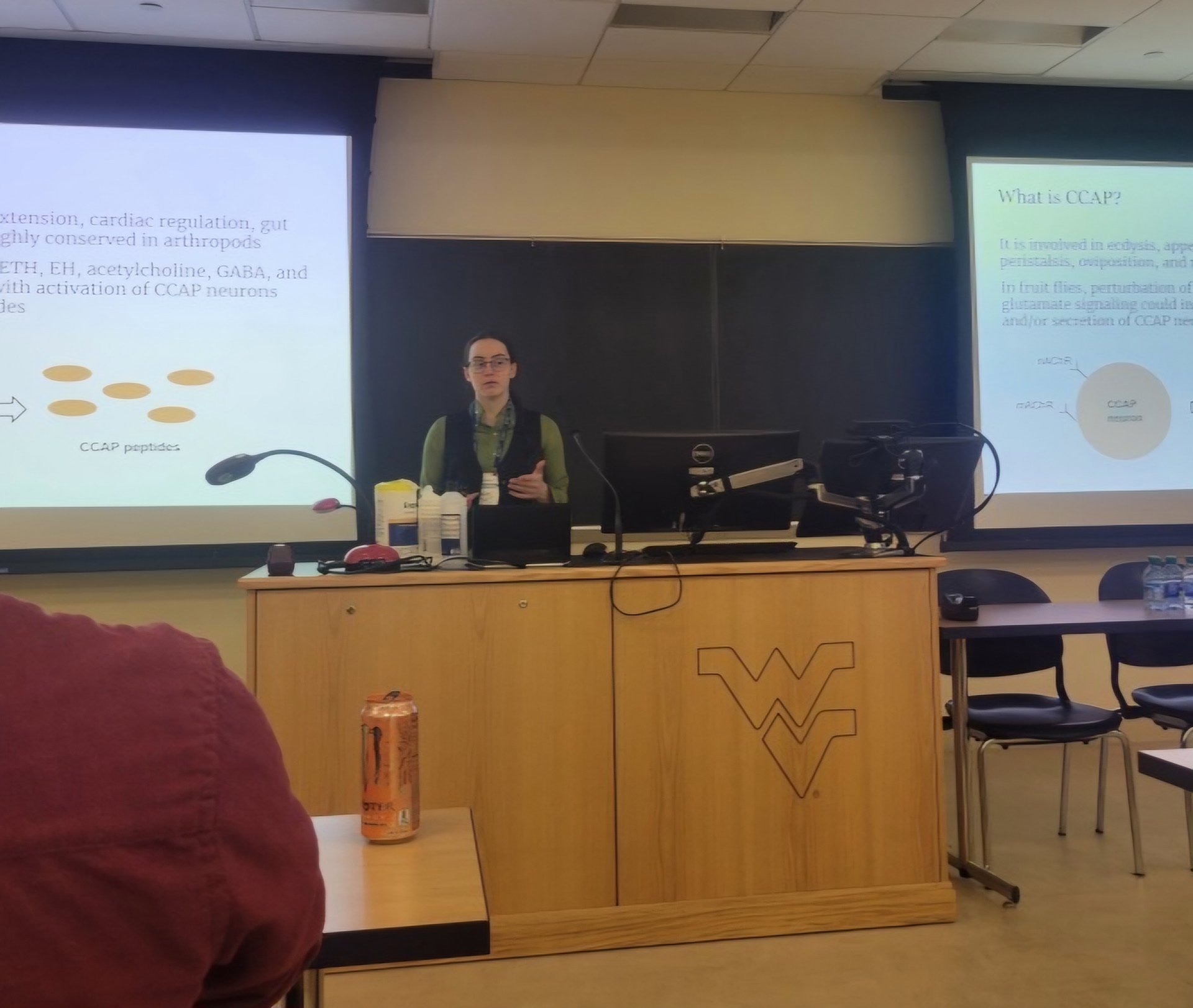Jillian Stewart presenting at the 2024 Eastern Branch ESA Meeting in Morgantown, WV