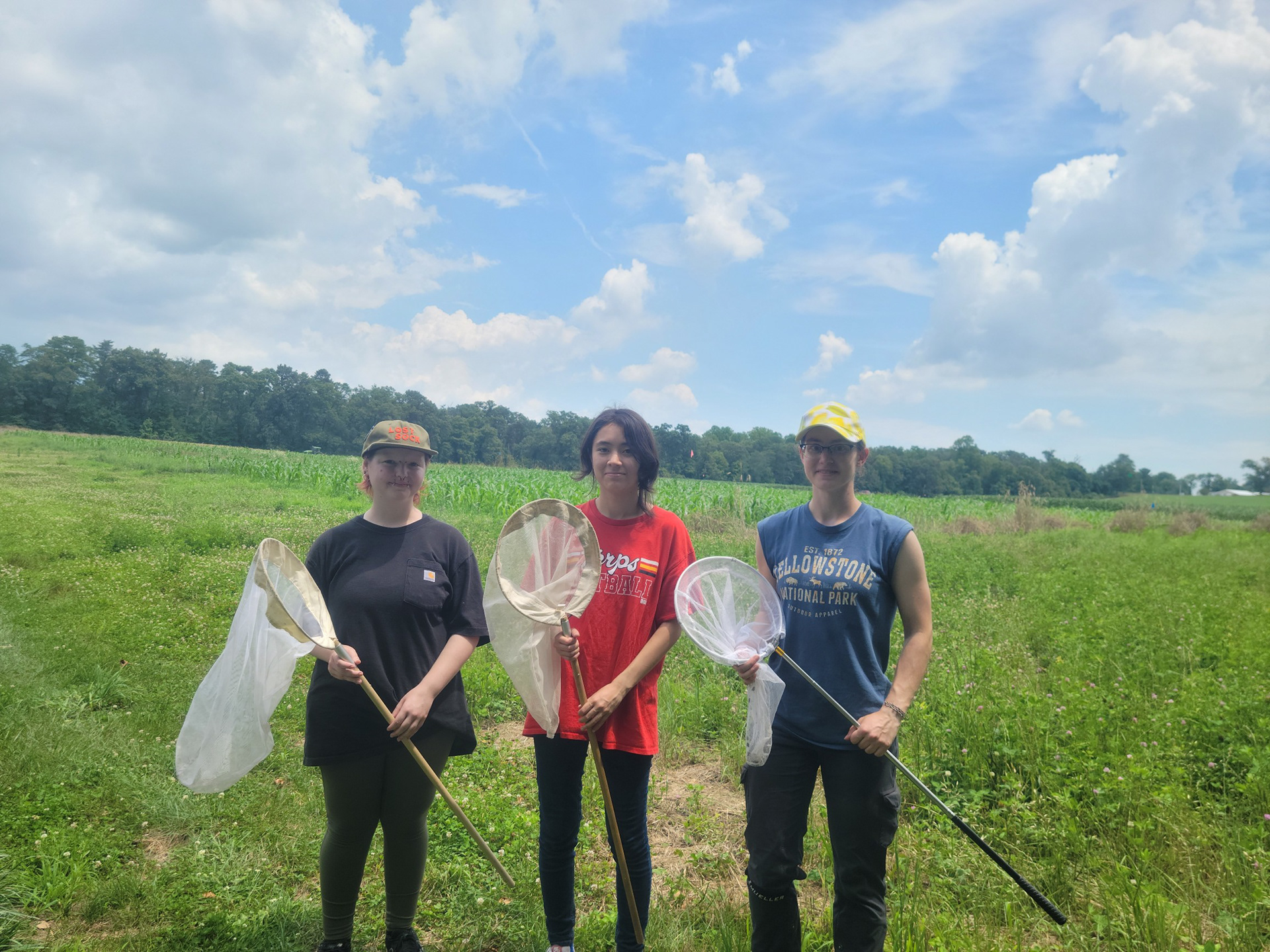 Jordyn Hautz, Margaret Kato, and Jillian Stewart collecting eastern-tailed blue butterflies