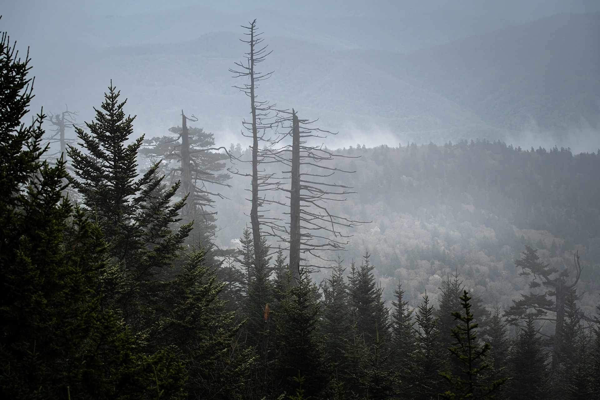 Clingssman Dome Number 2