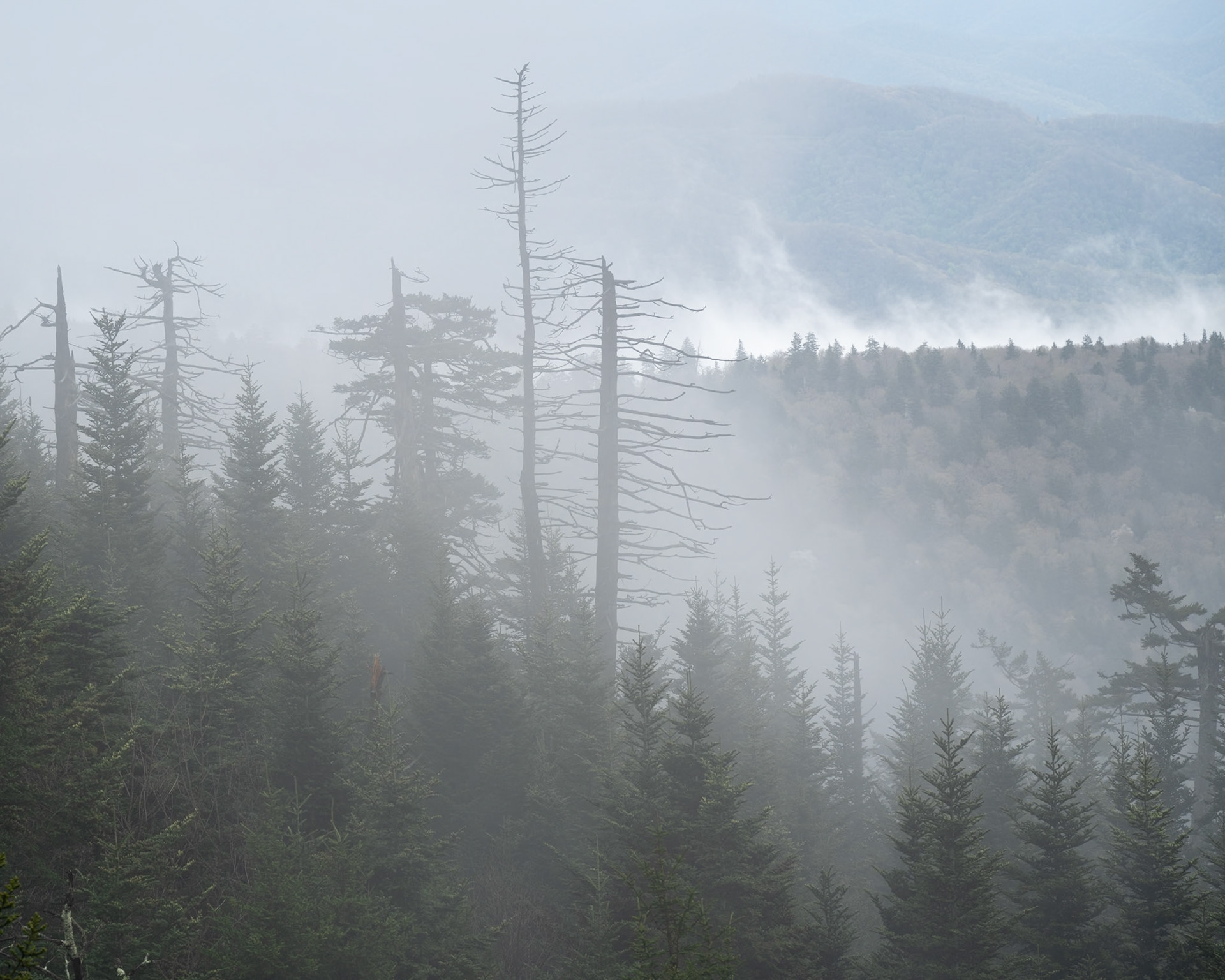 Clingssman Dome Number 1