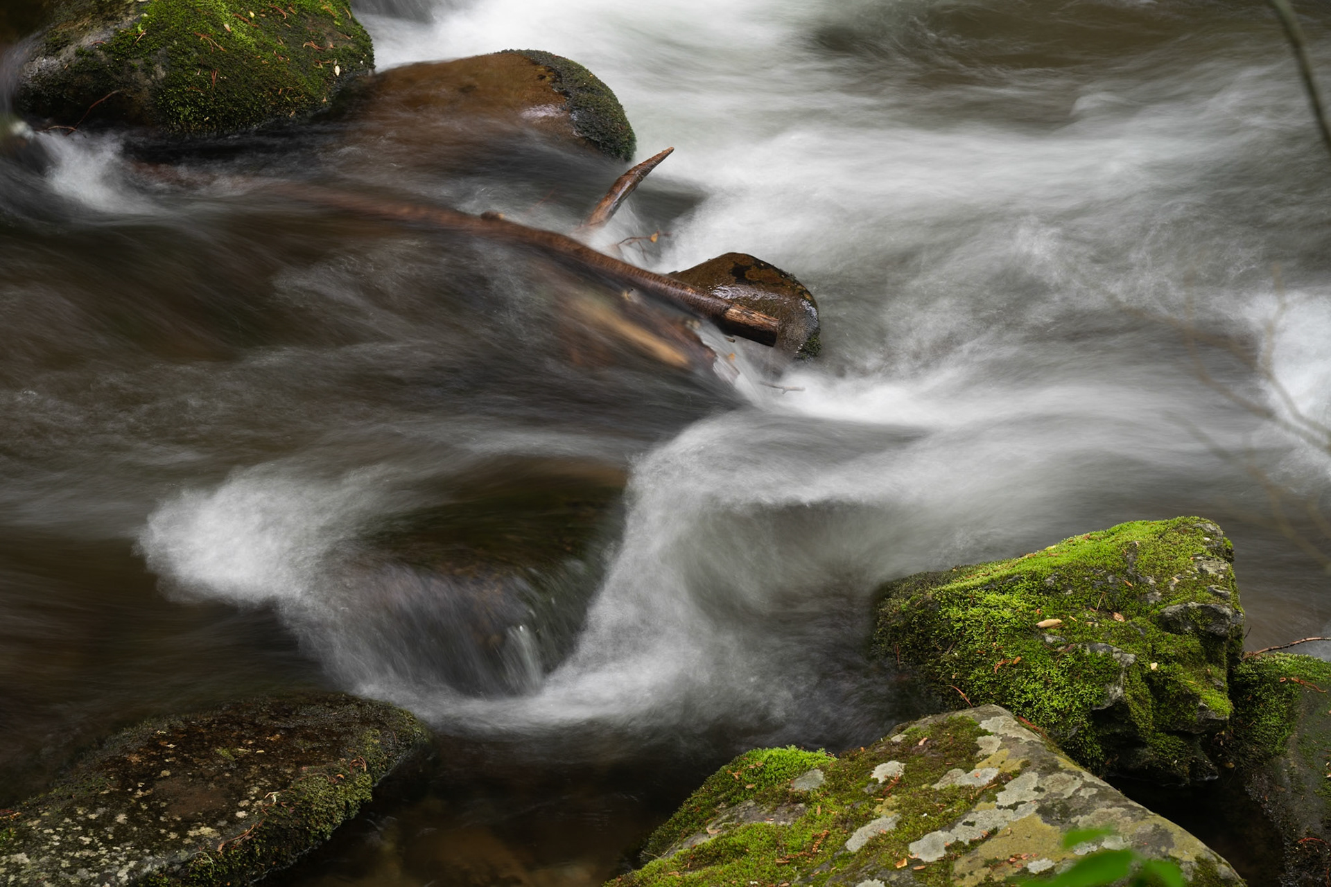 Ocnalufree River Number 4