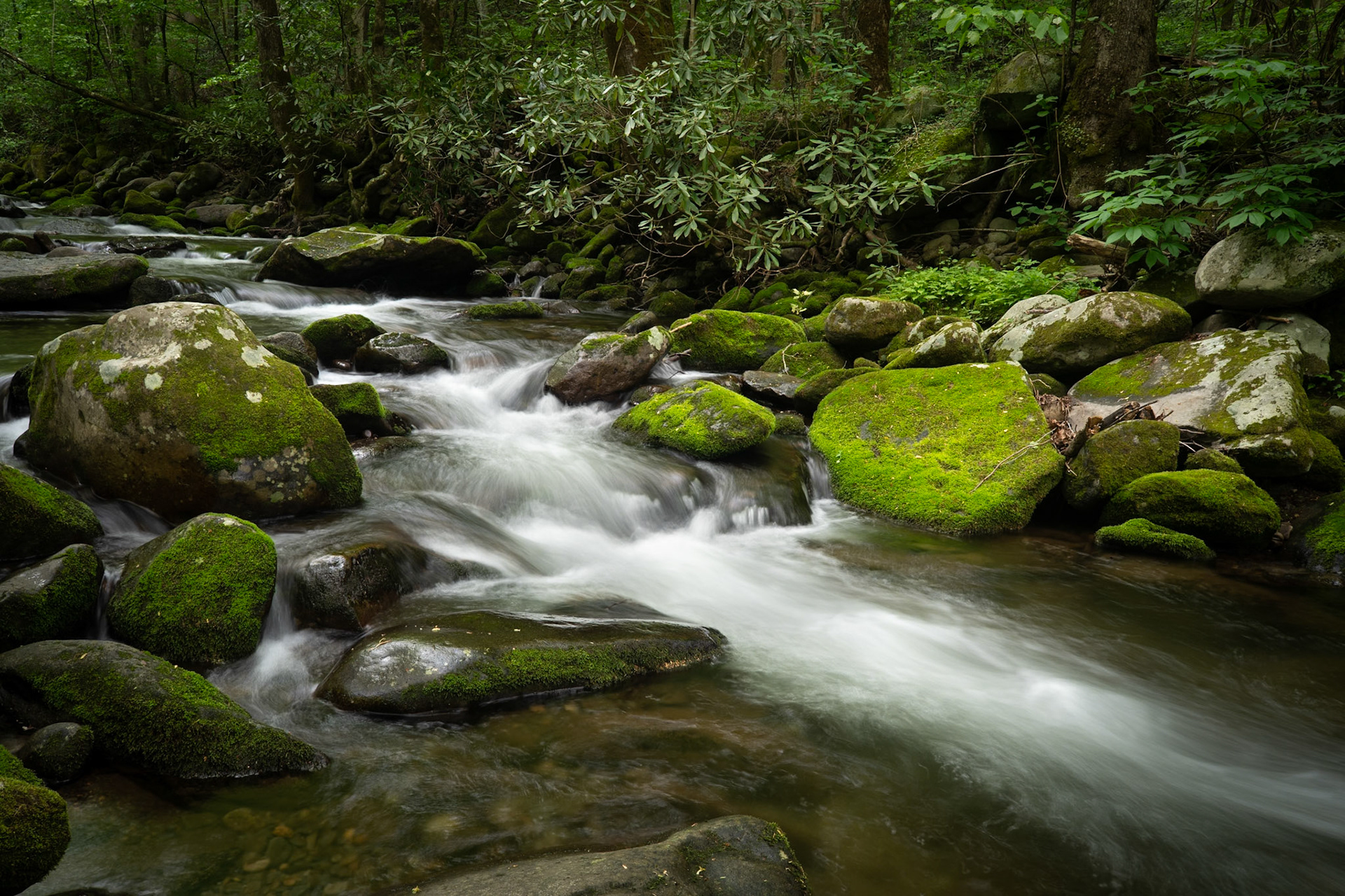 Roaring Fork Motor Trail Number 1