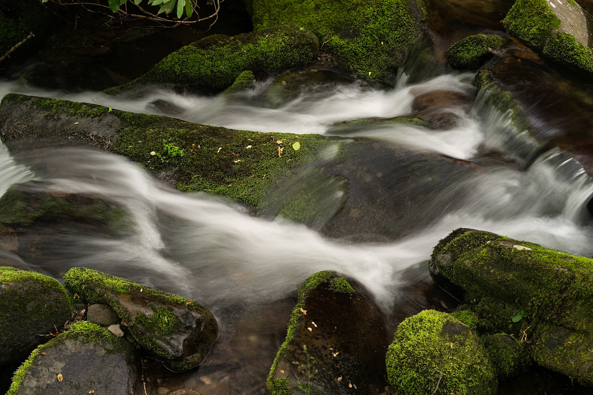 Roaring Springs Number 1