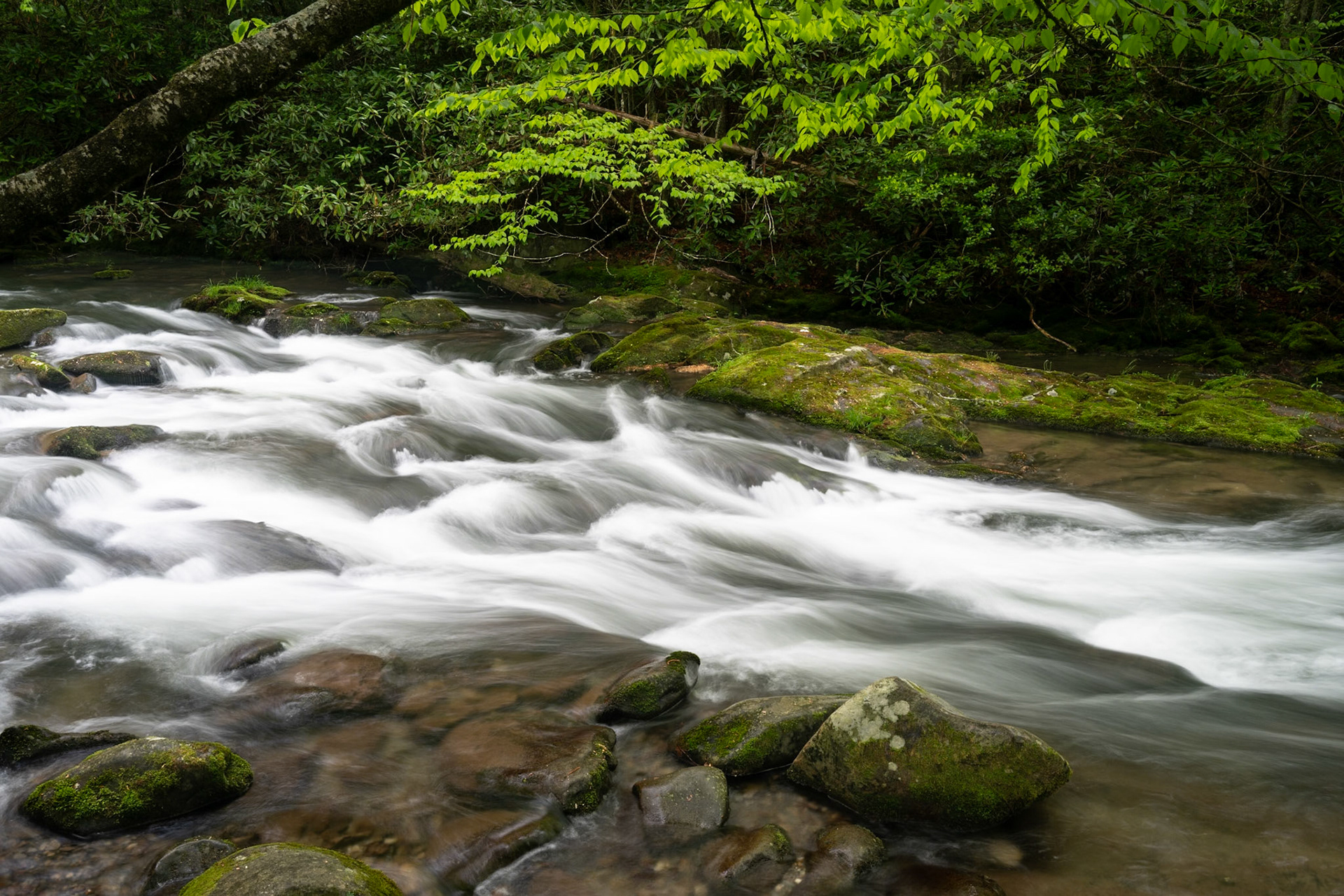 Ocnalufree River Number 1