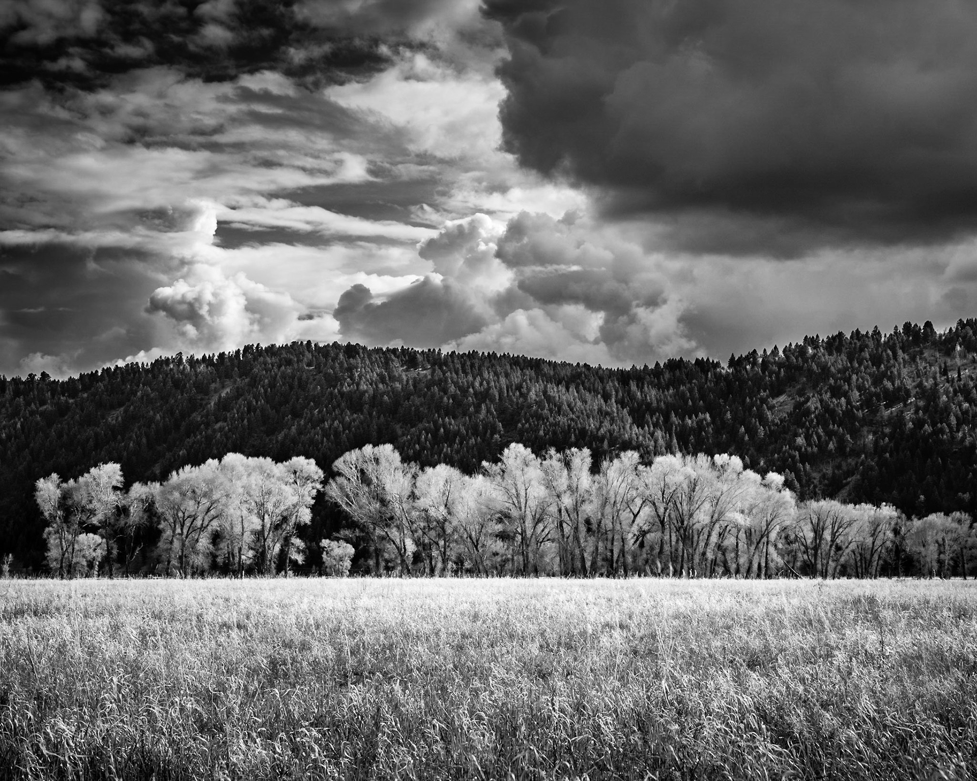 Grand Tetons Number 2