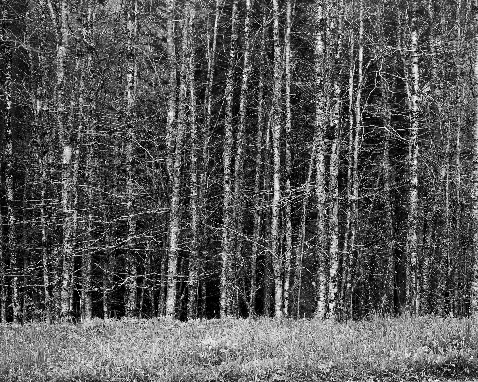 Morton Overlook Number 3