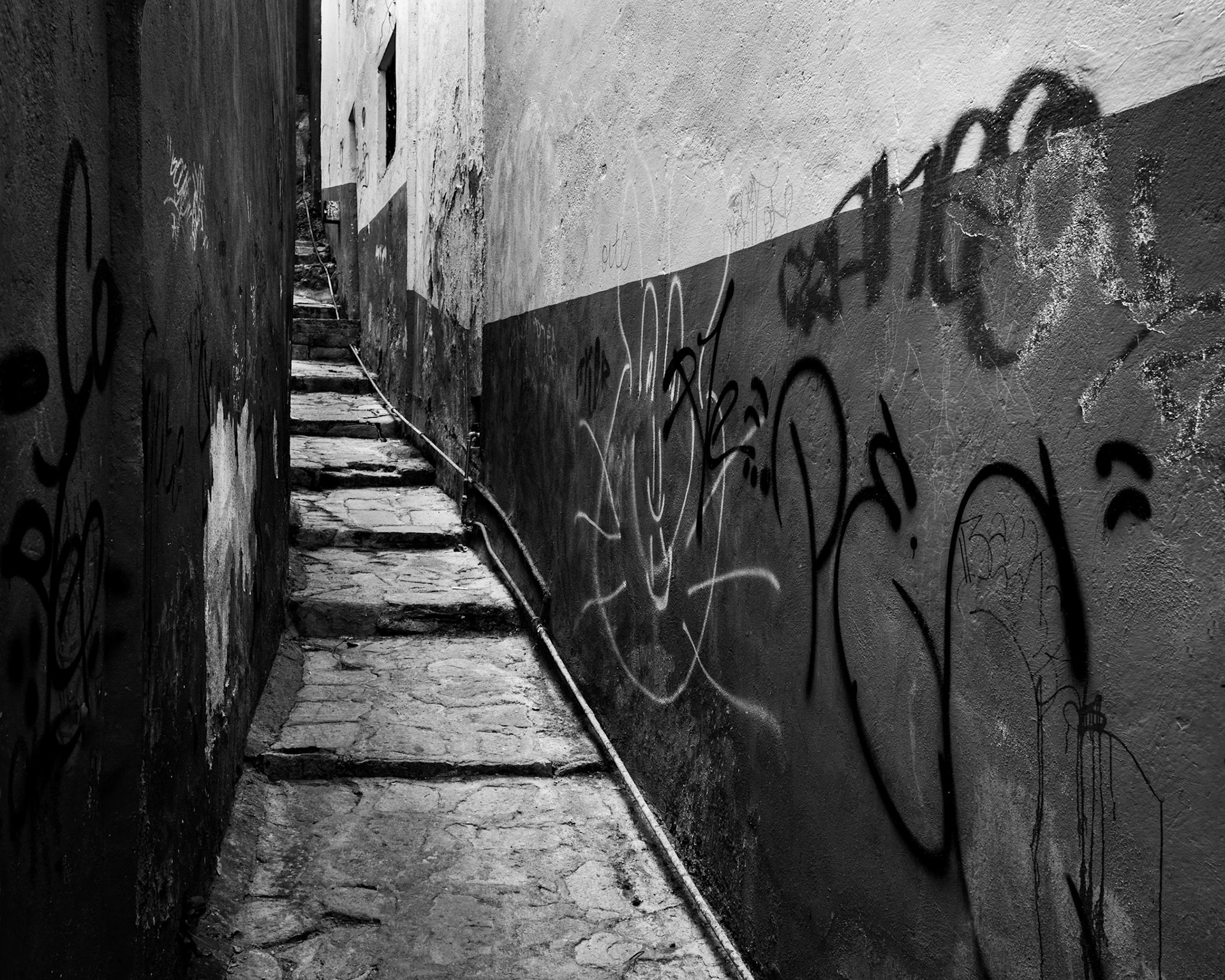 Pathway Through the Neighborhood