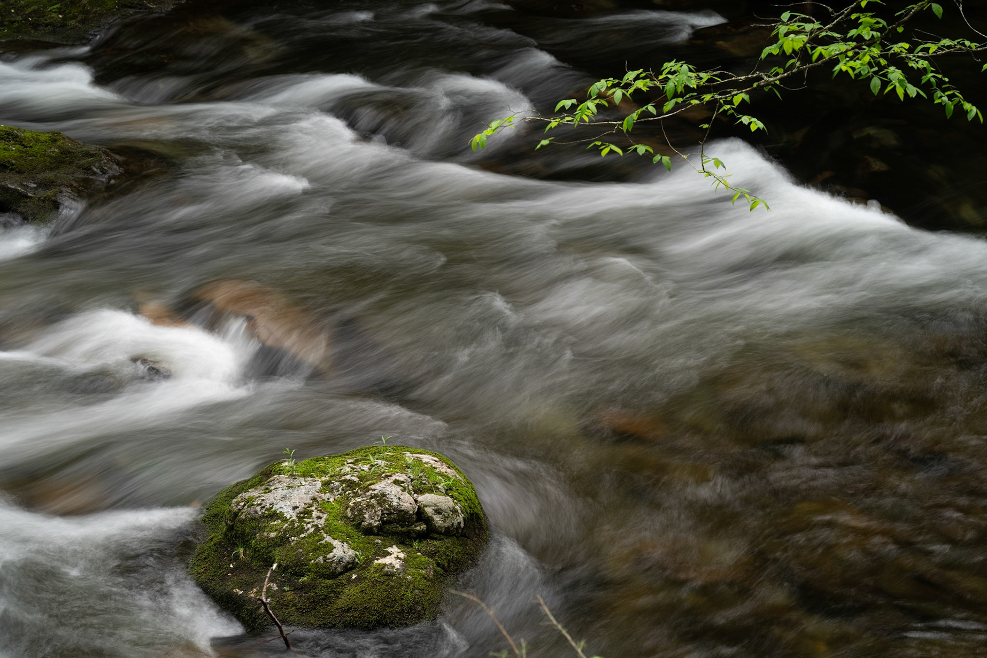 Little River Number 3