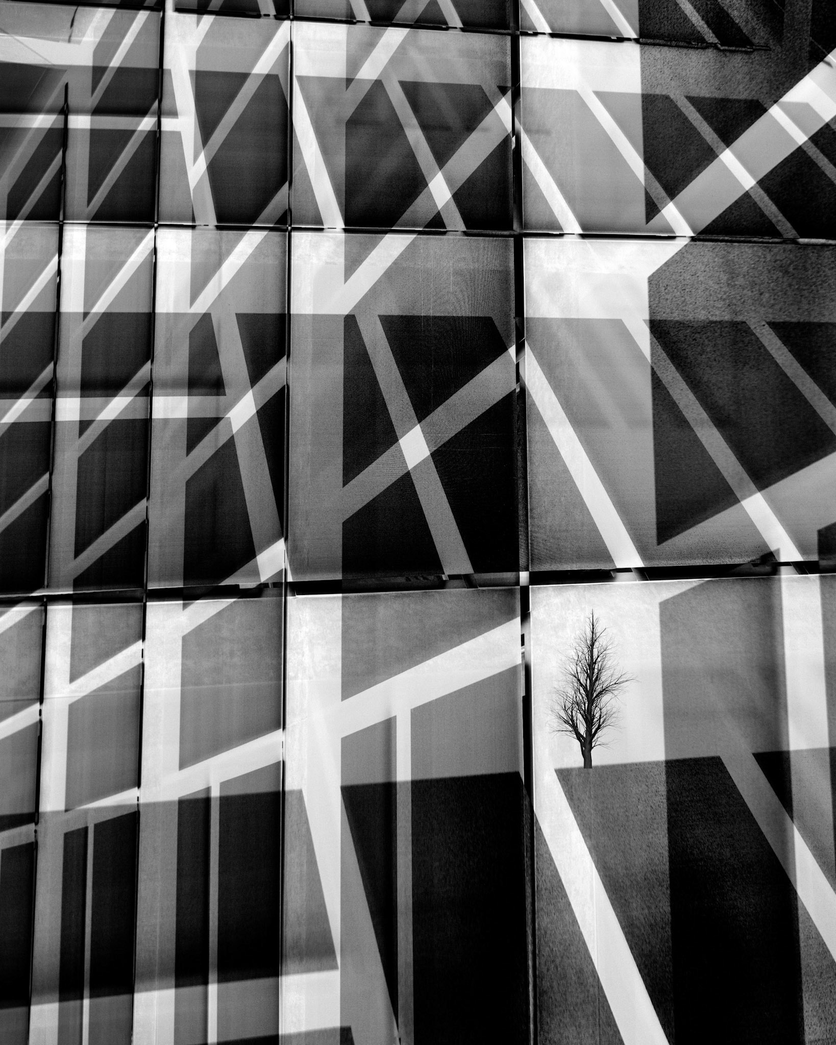 Architecture Outlier Number 6