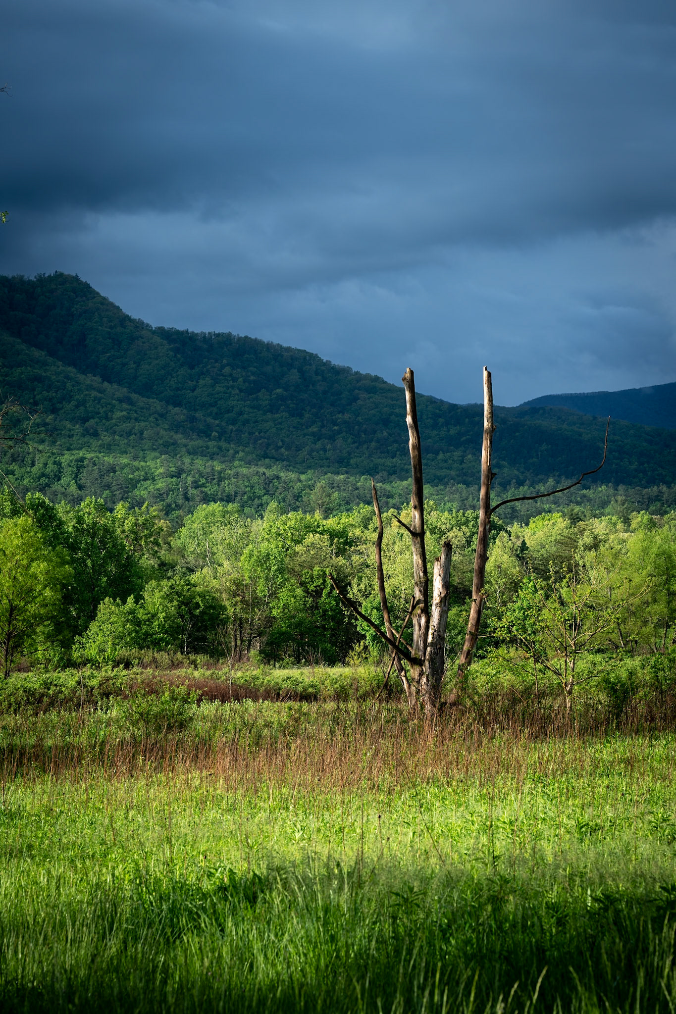 Cades Cove Number 2