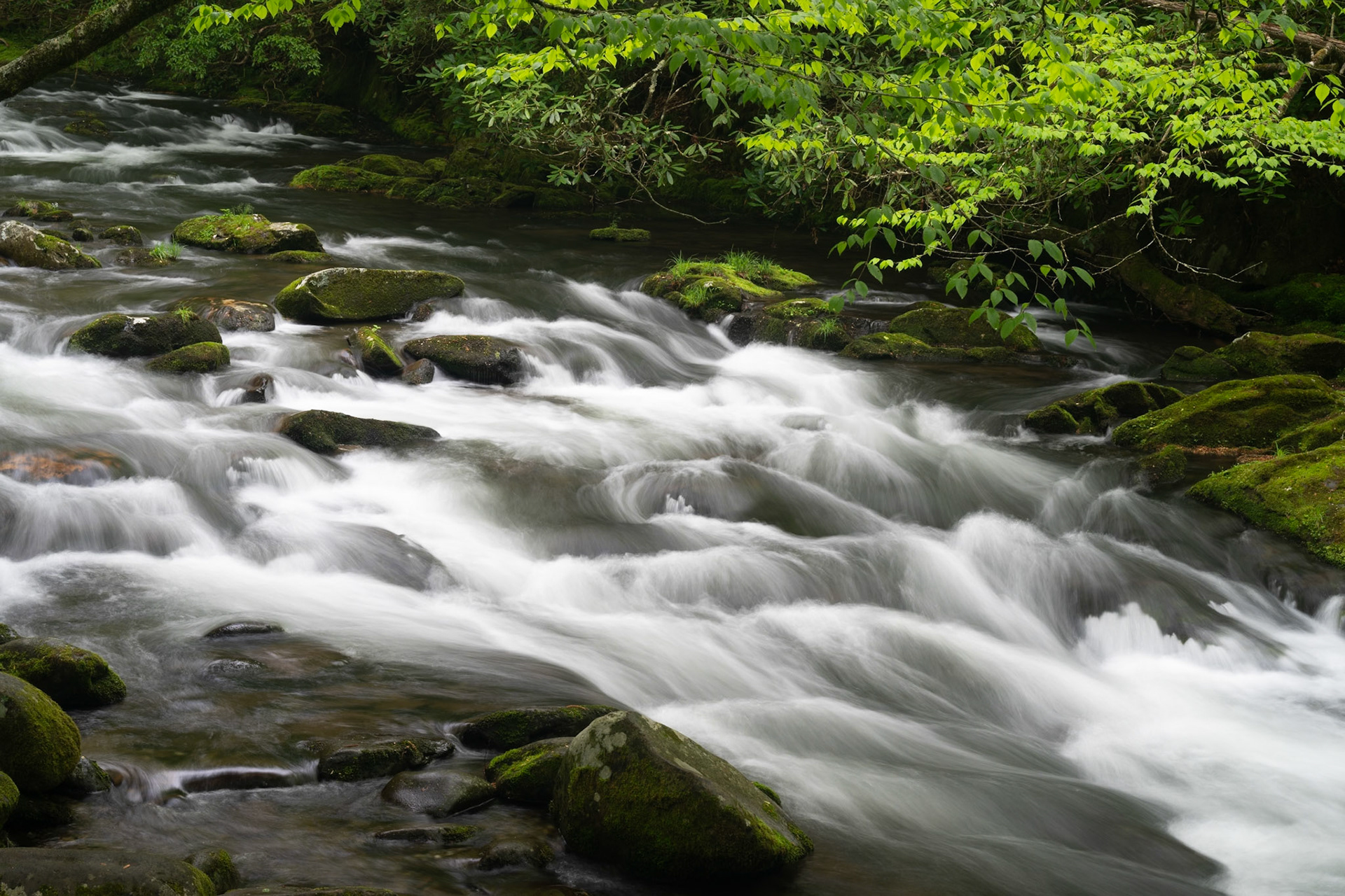 Ocnalufree River Number 2