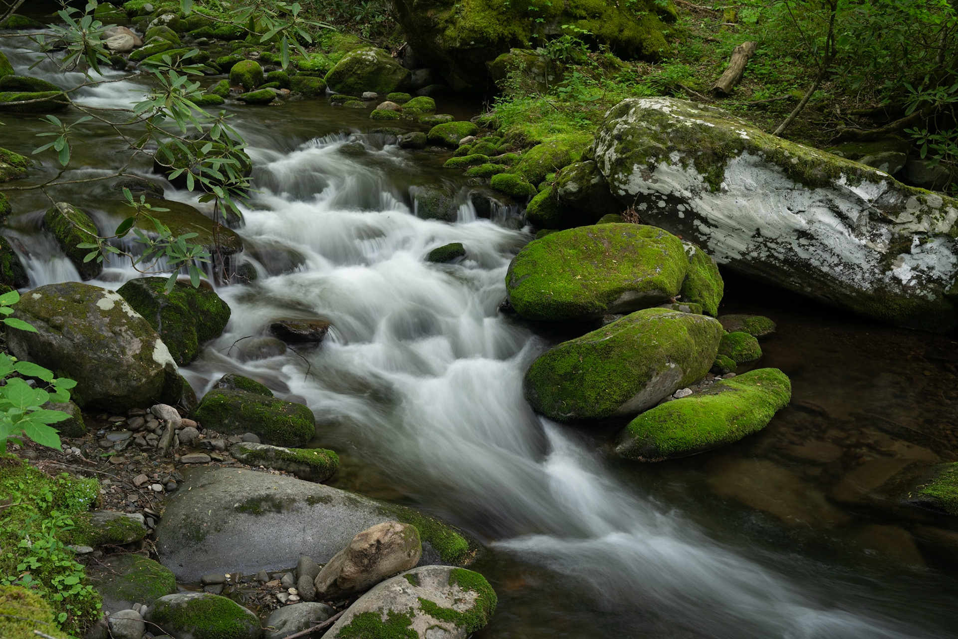 Roaring Fork Motor Trail Number 3