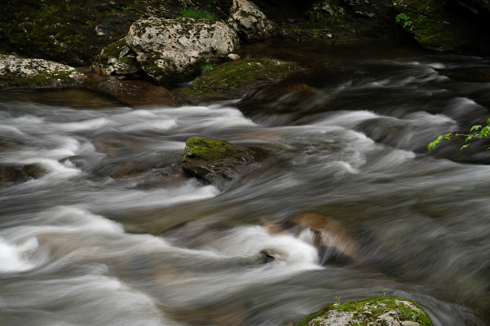 Little River Number 1