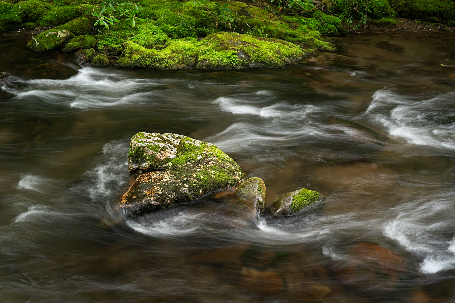 Ocnalufree River Number 3