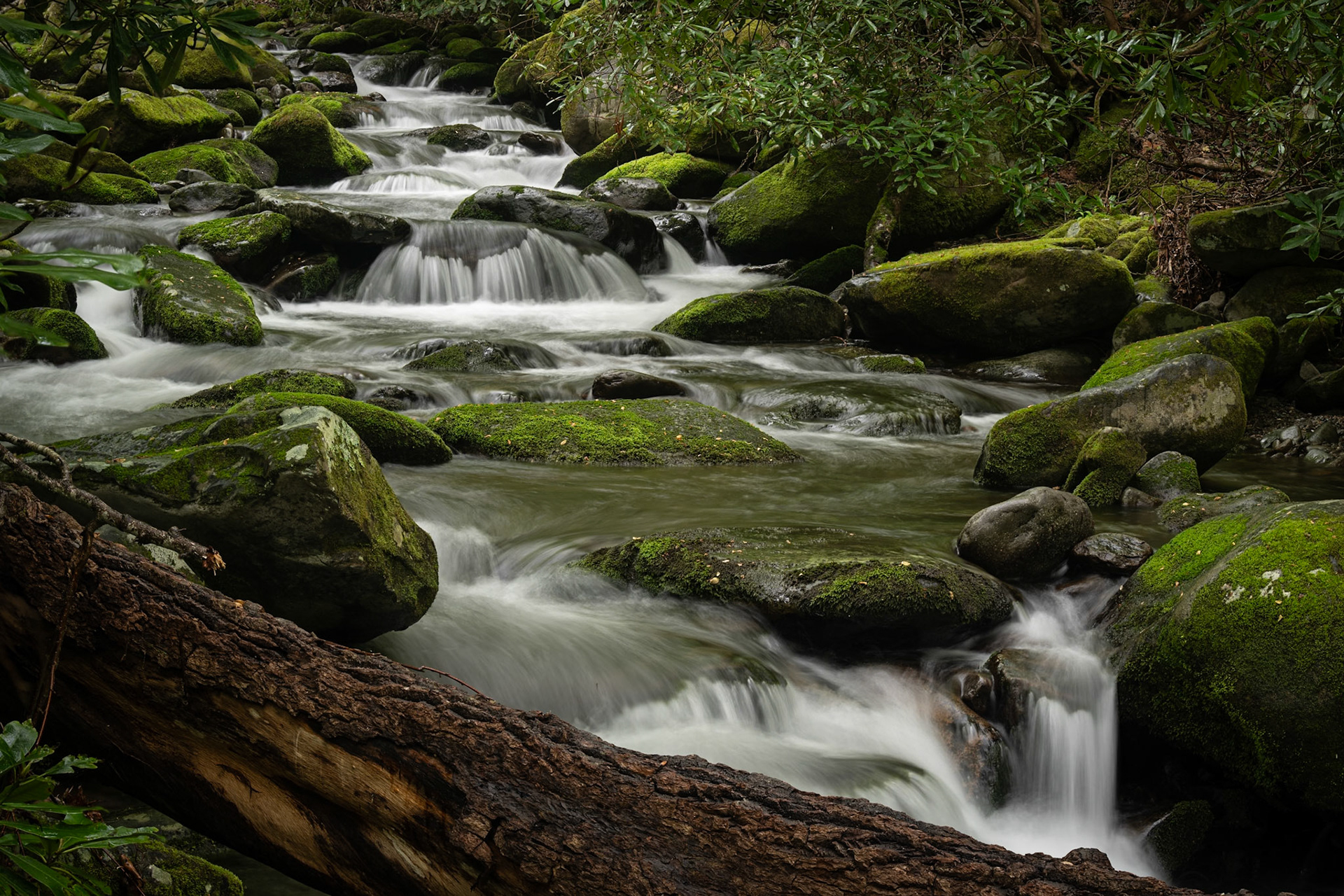Roaring Springs Number 2