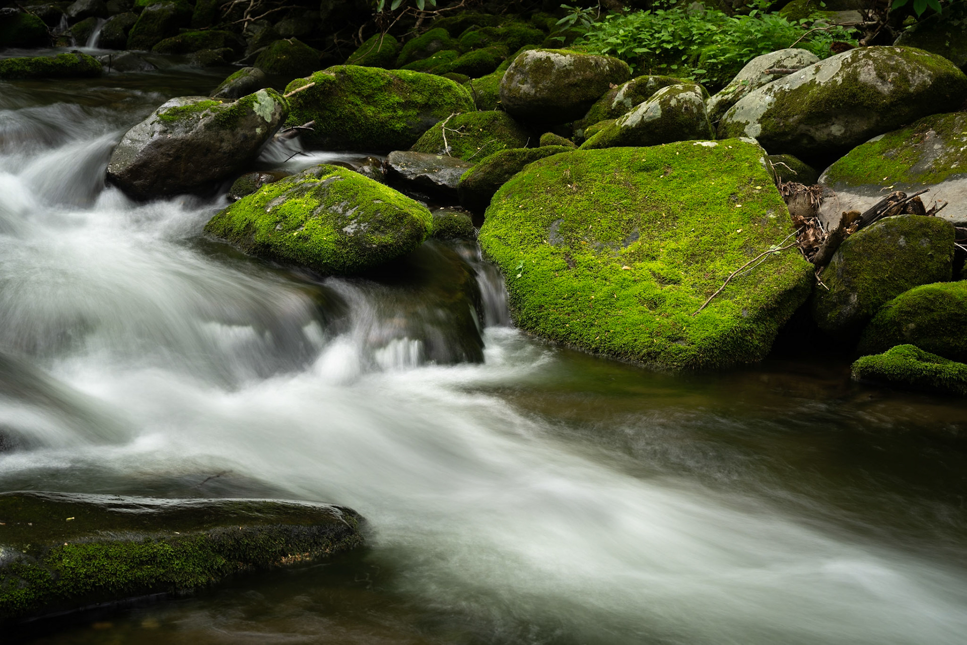 Roaring Fork Motor Trail Number 2