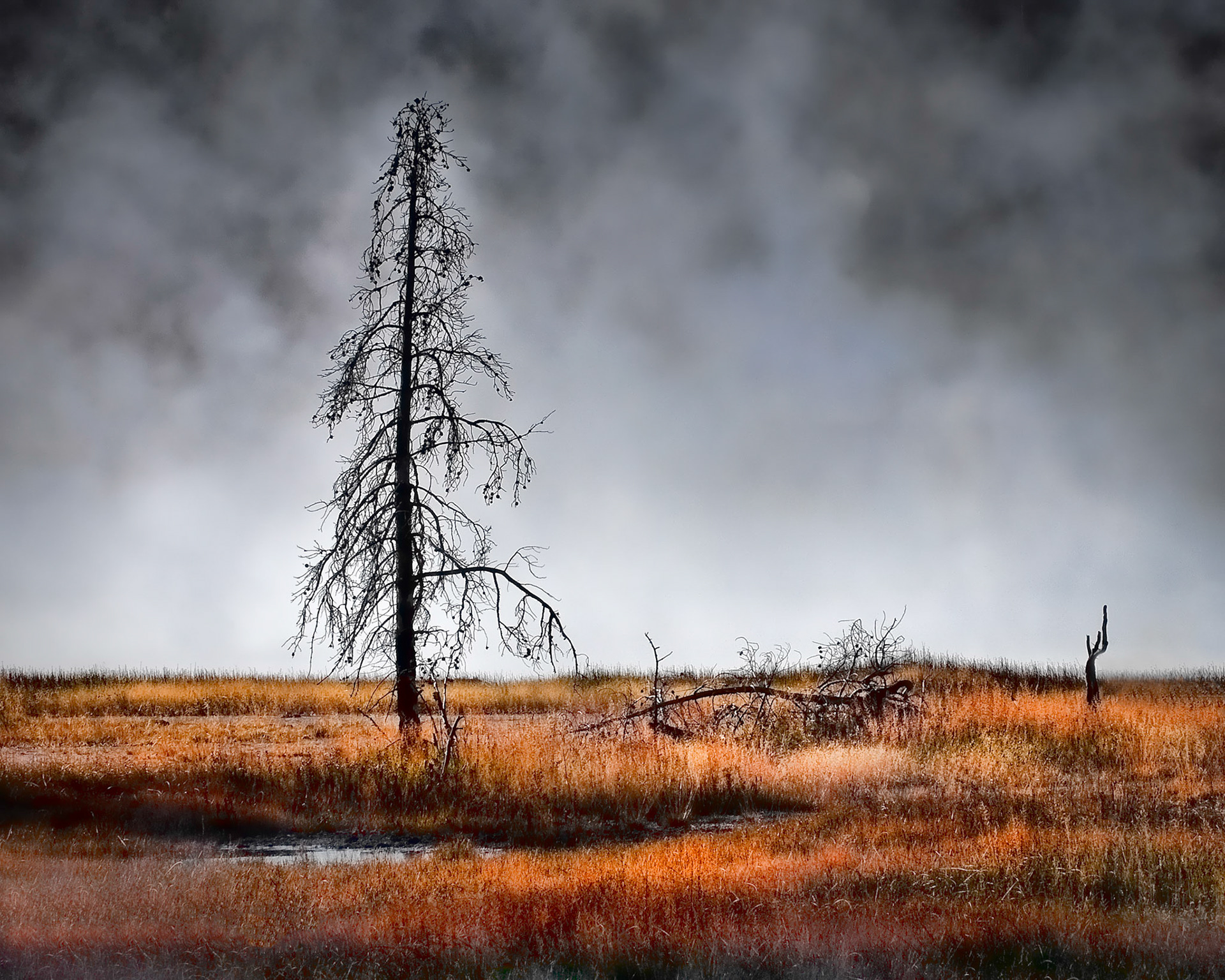 Lone Tree Firehole Lake Number 1, Yellowstone