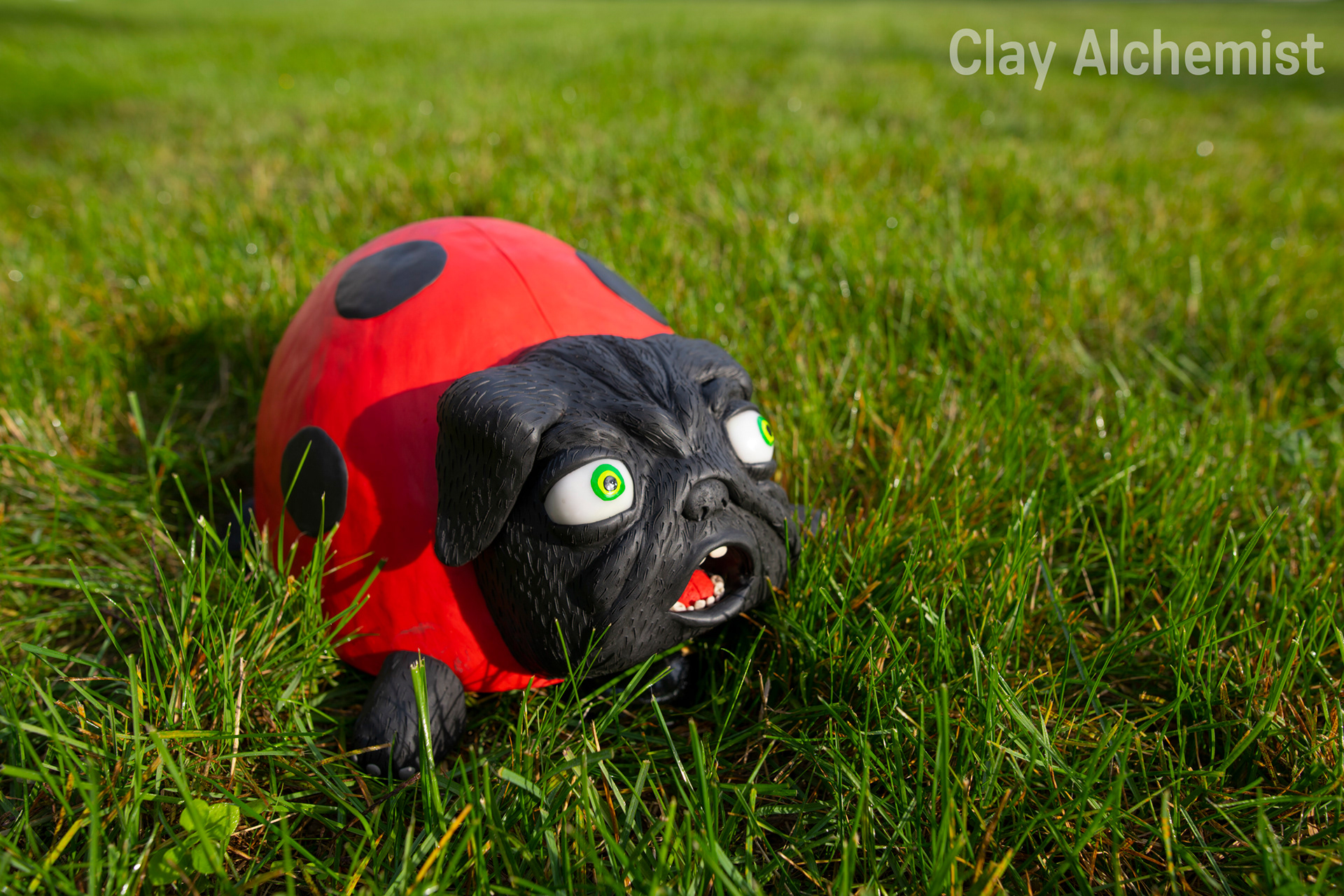 Ladypug