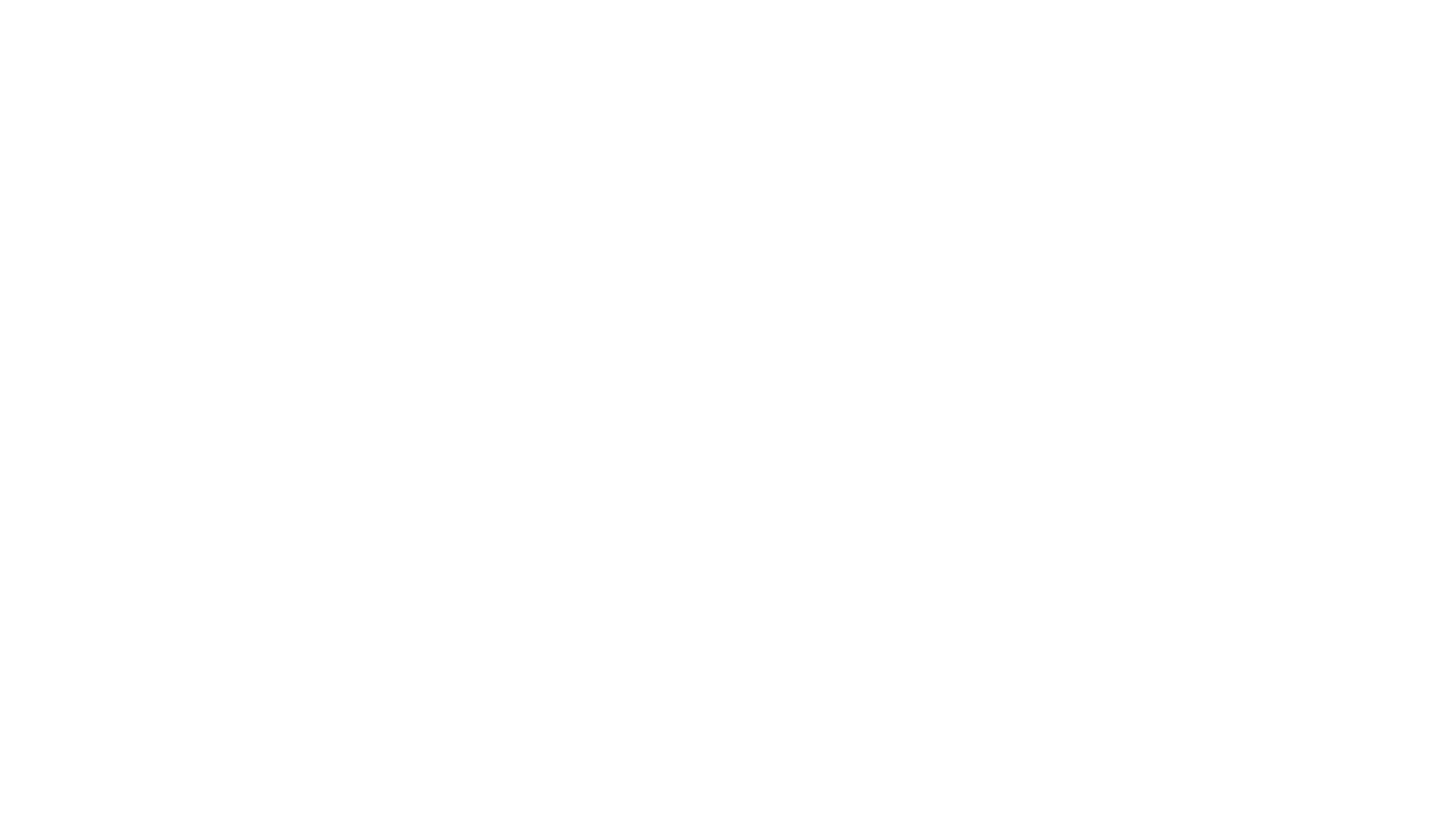 Robin van Geemen