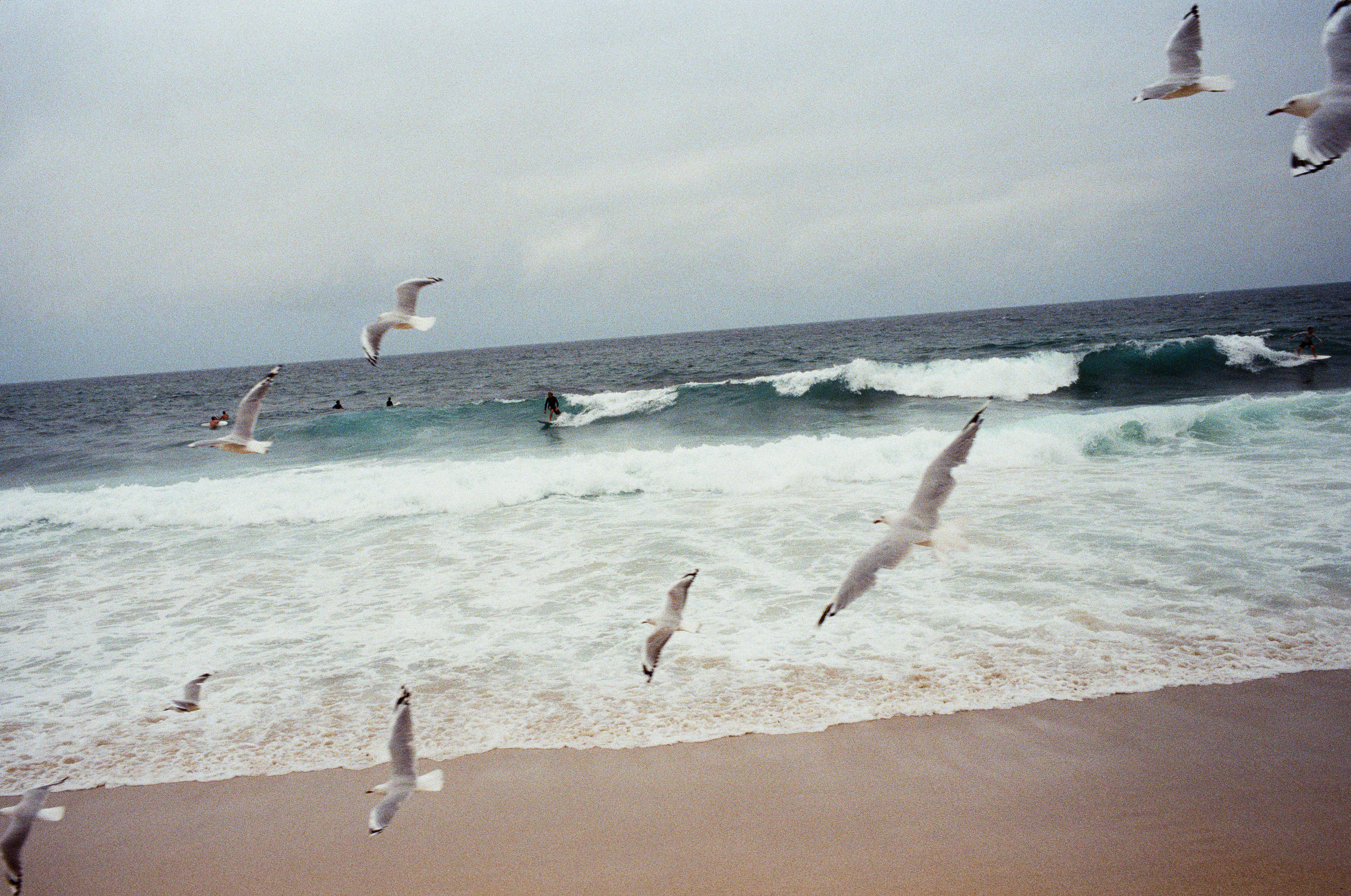 Bronte Beach 2025.3.2