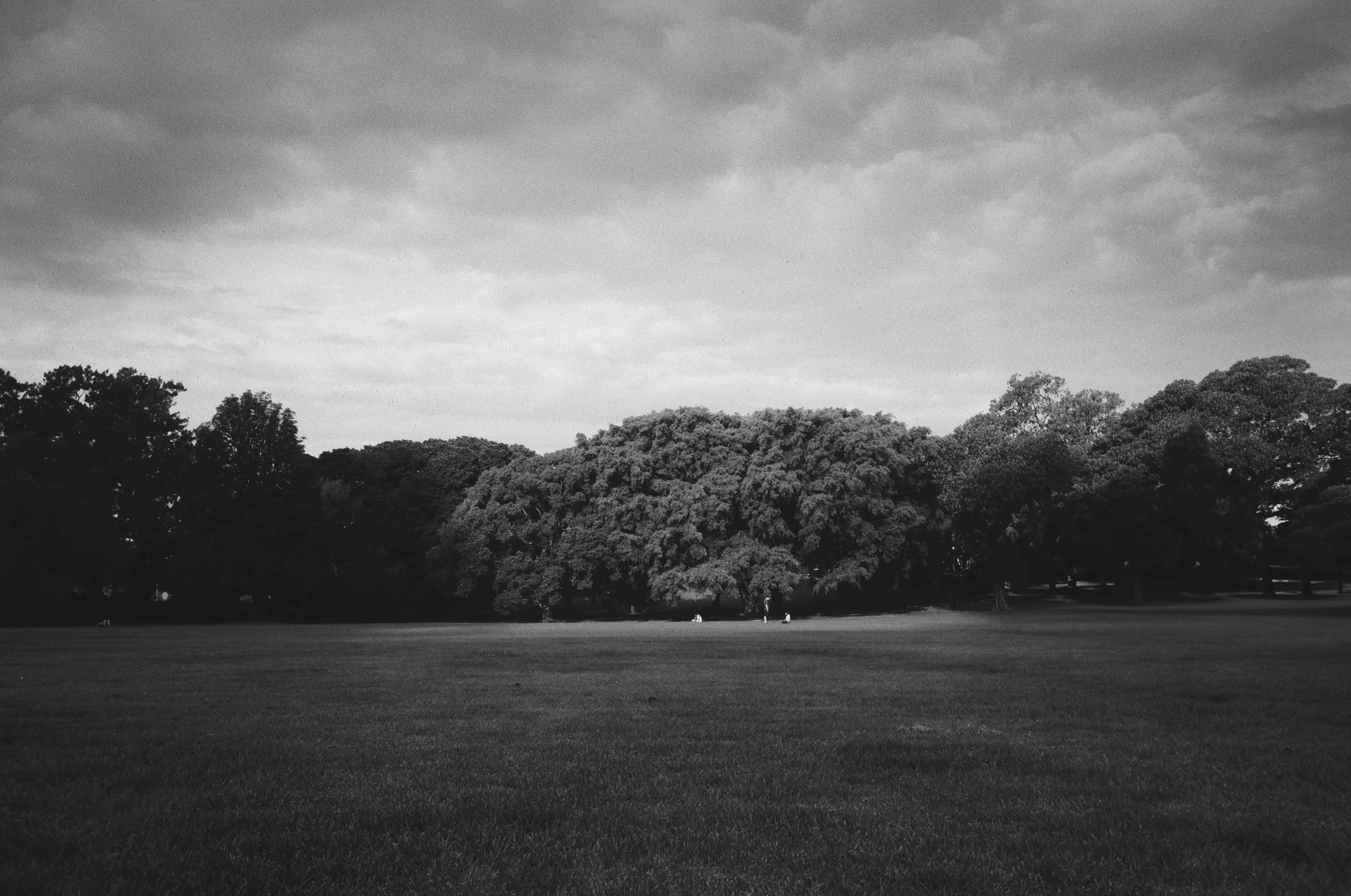 Wyee Point Reserve 2025.6.1