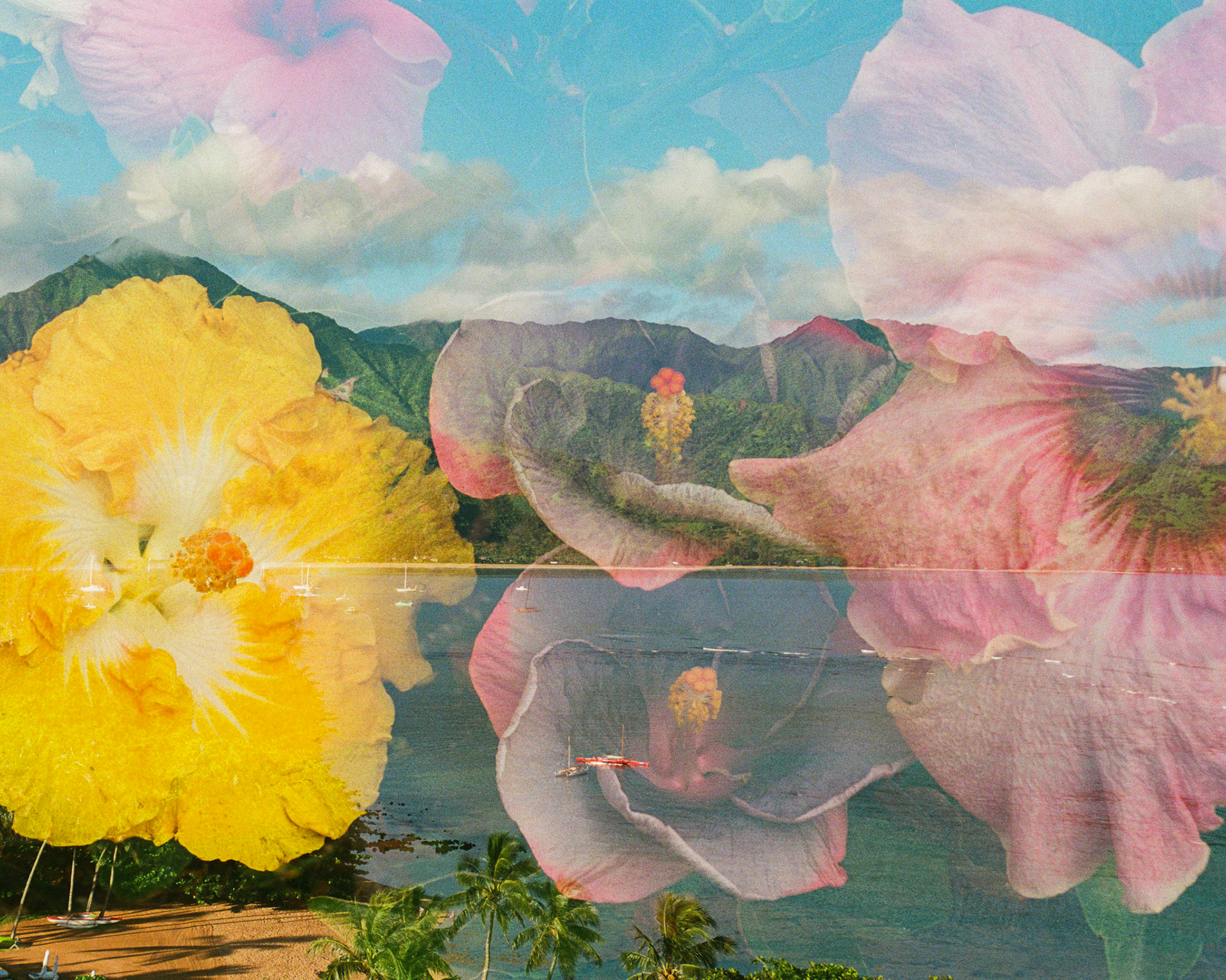 Hanalei Bay in Bloom