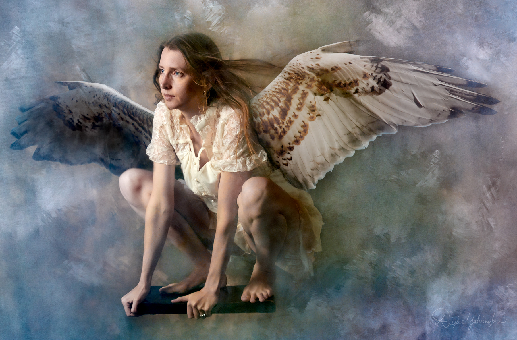 Perched with Wings