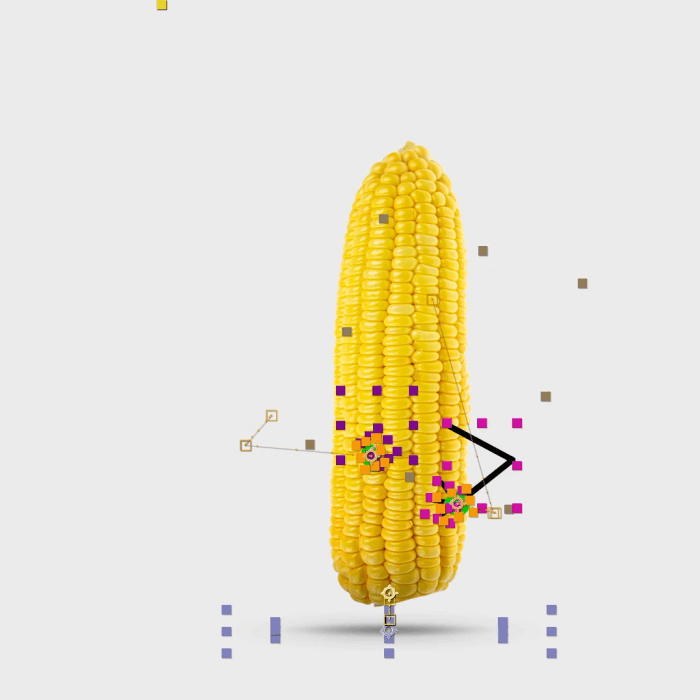 Clique na imagem para ampliar