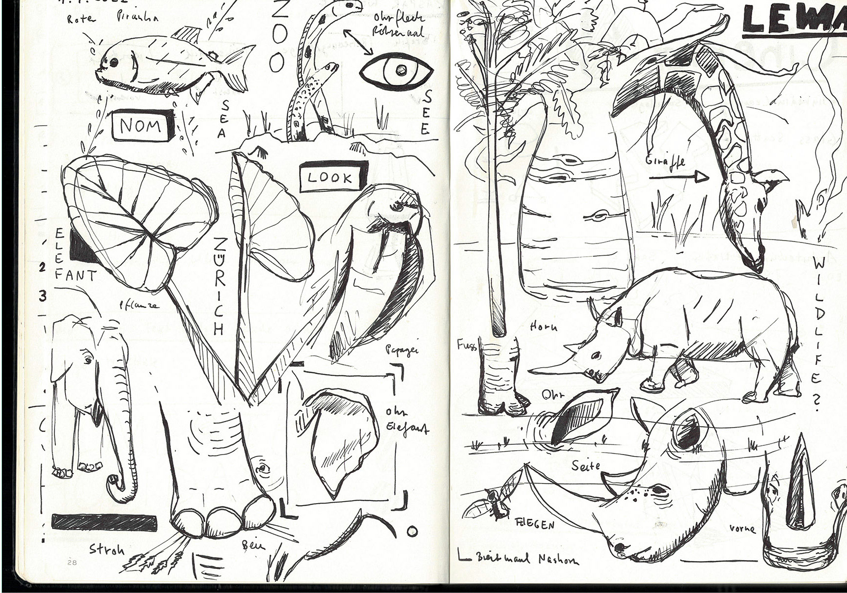Random Sketch