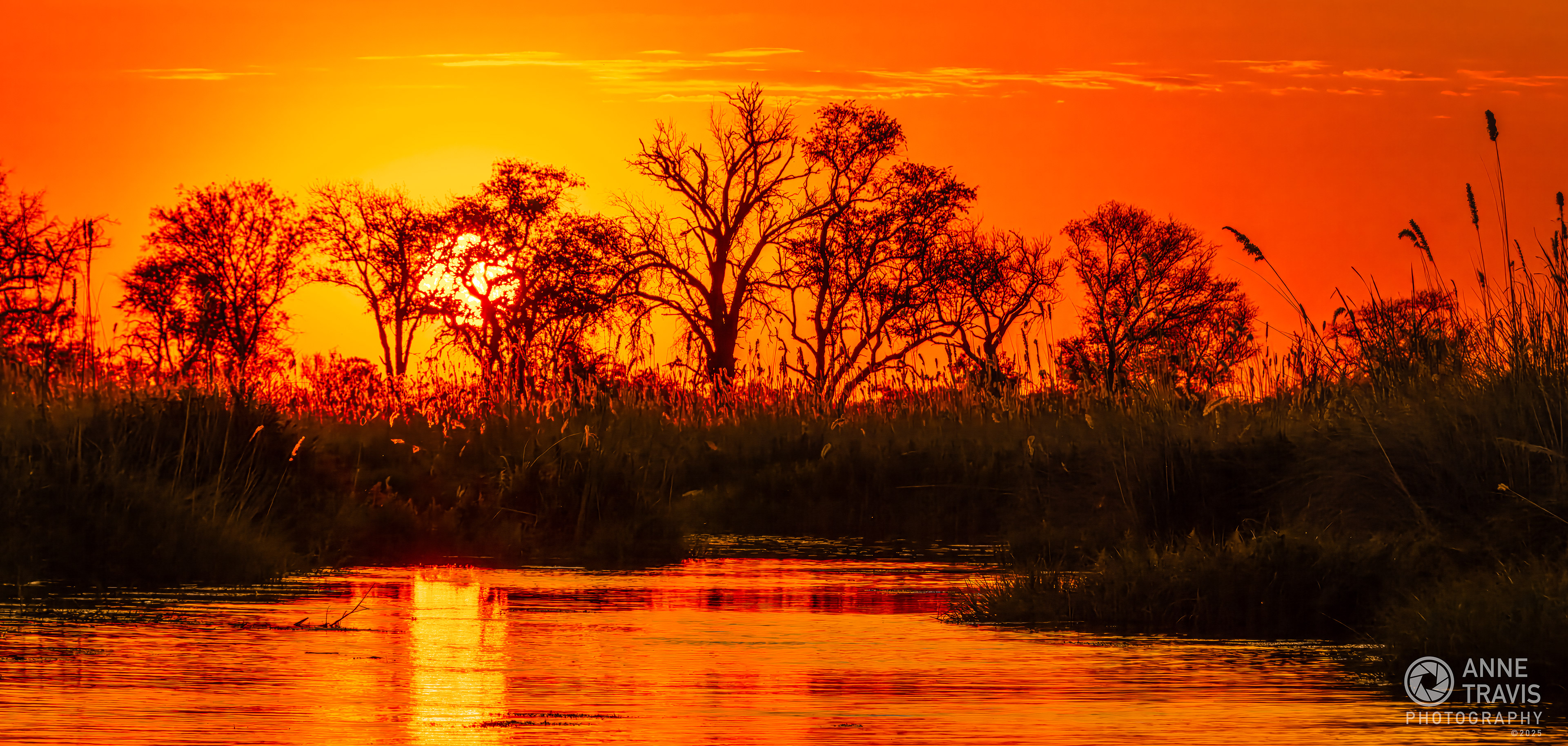 Sunset (Moremi, Okavango Delta, Botswana)
