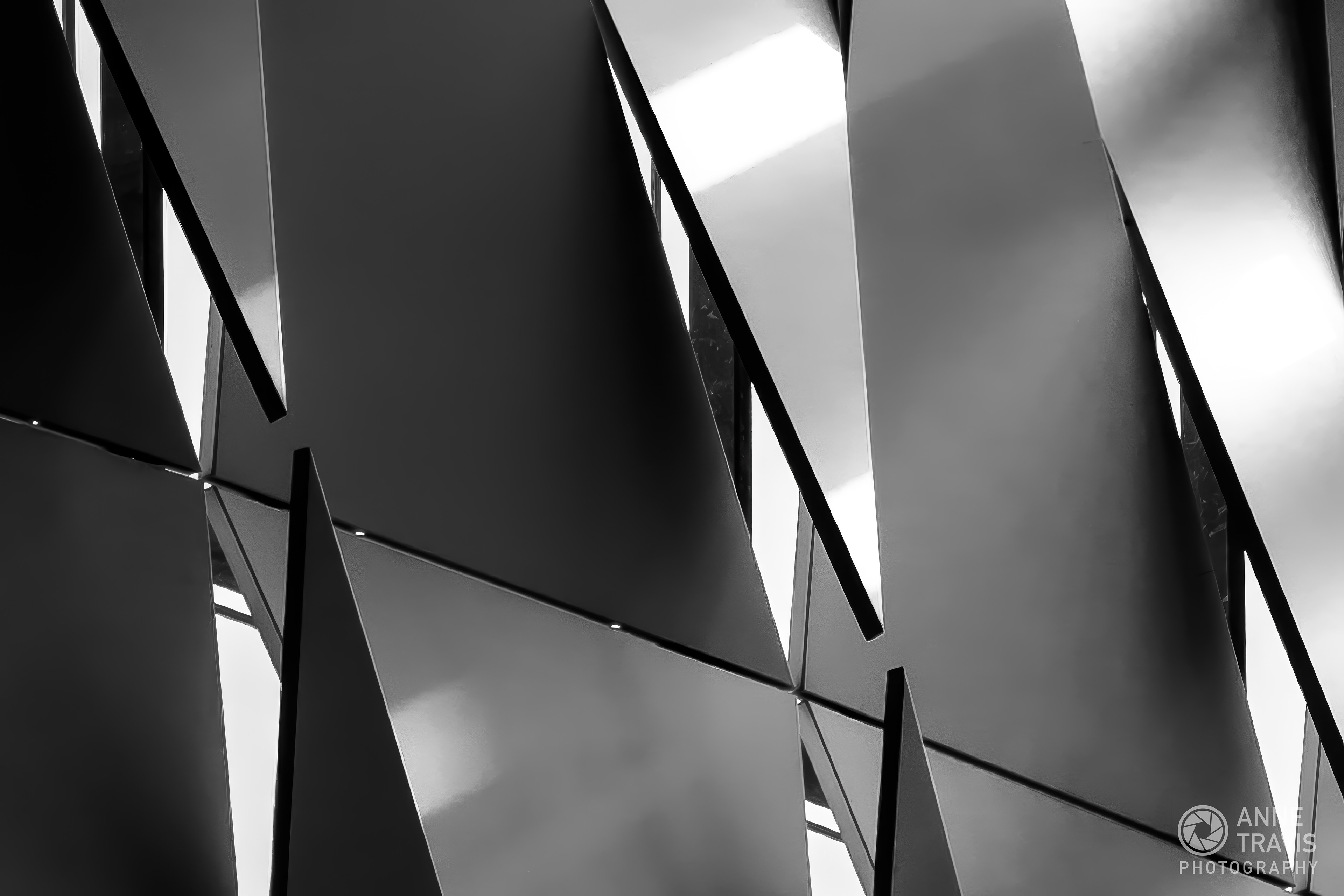 Geometry and Ligth