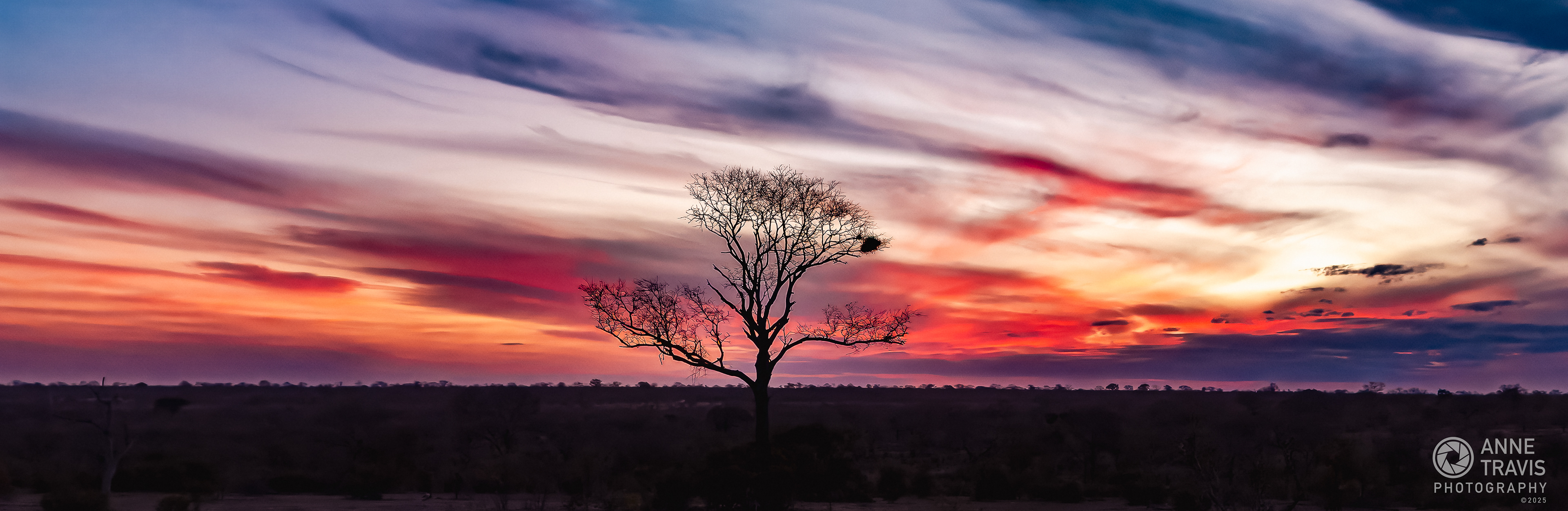 Sunset (MalaMala, South Africa)