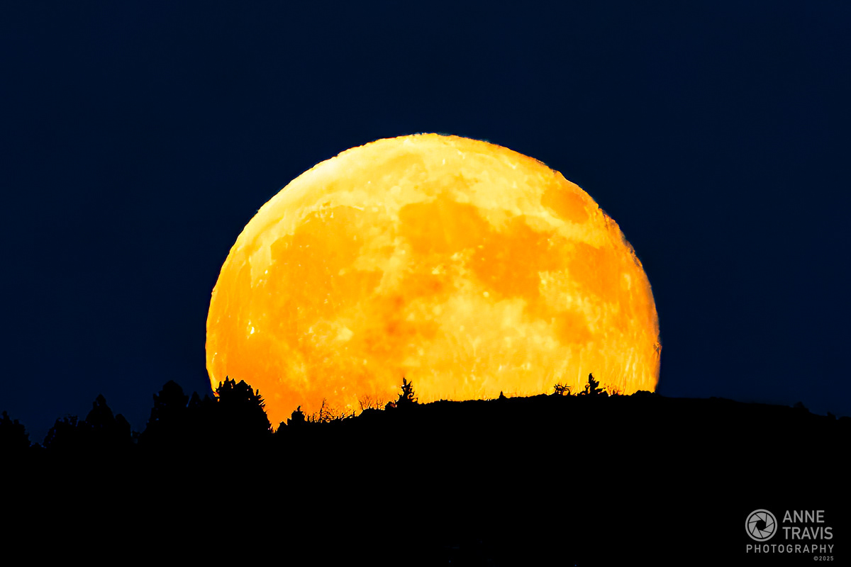 October 2025 Harvest Moon