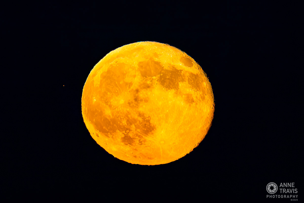 October 2025 Harvest Moon