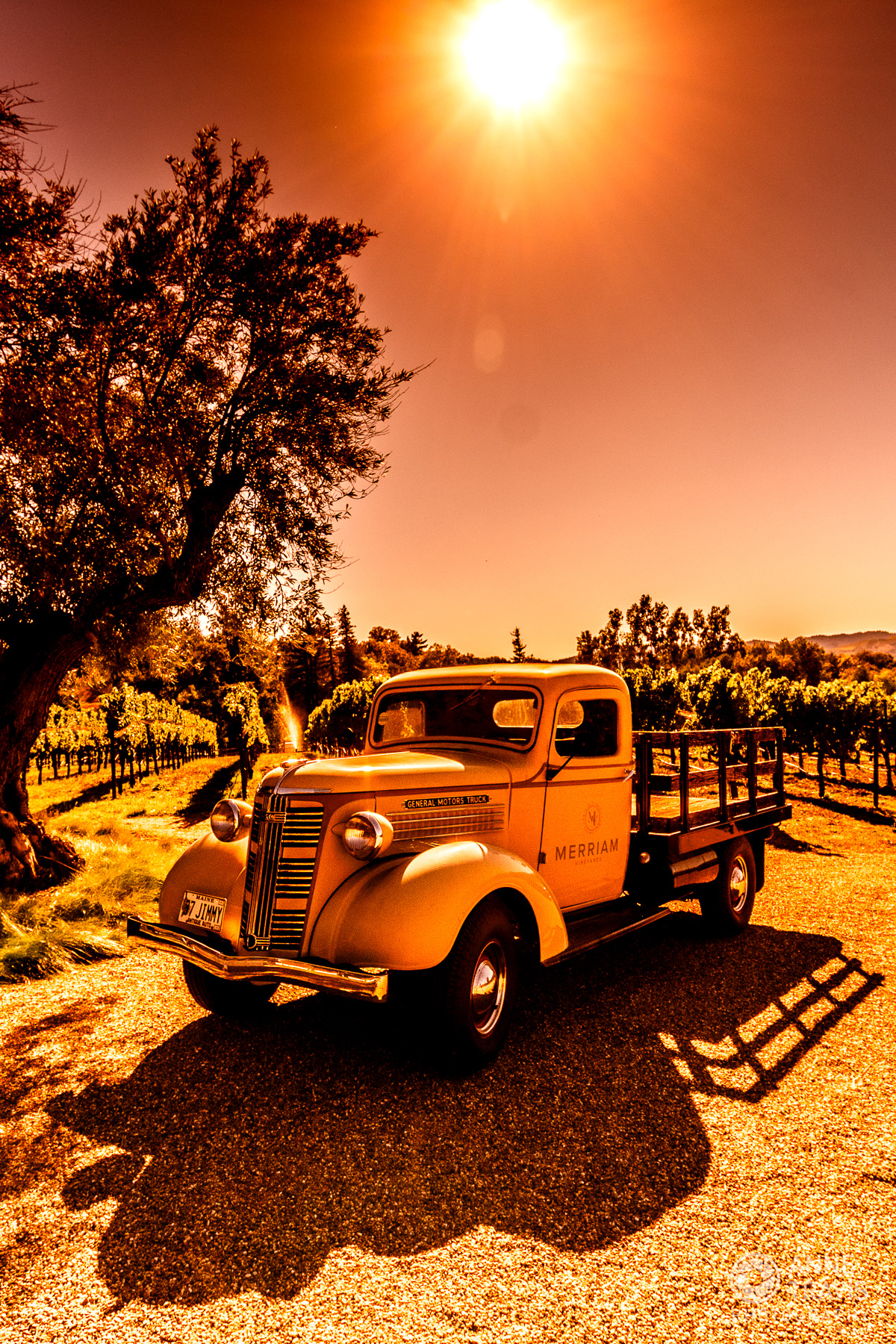 Vintage truck at Merriam Vineyards in Healdsburg, CA