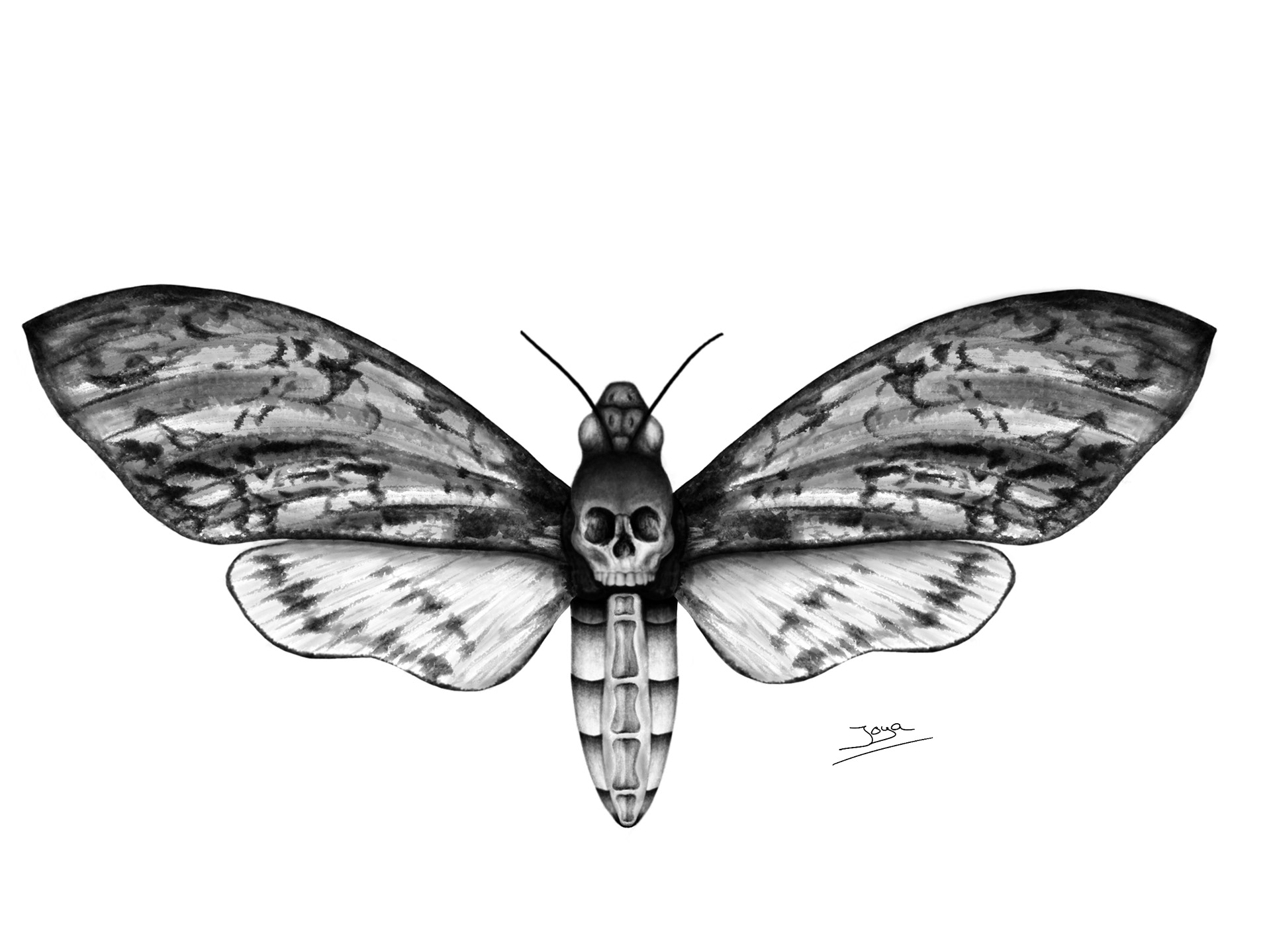 Death Moth