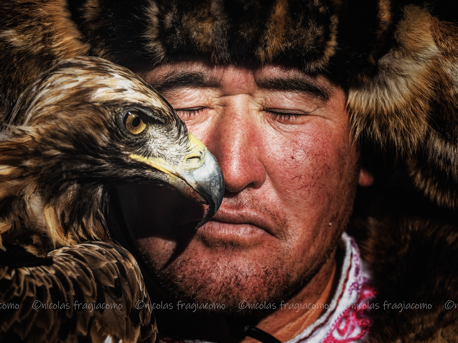 Golden Eagle Festival Mongolia
