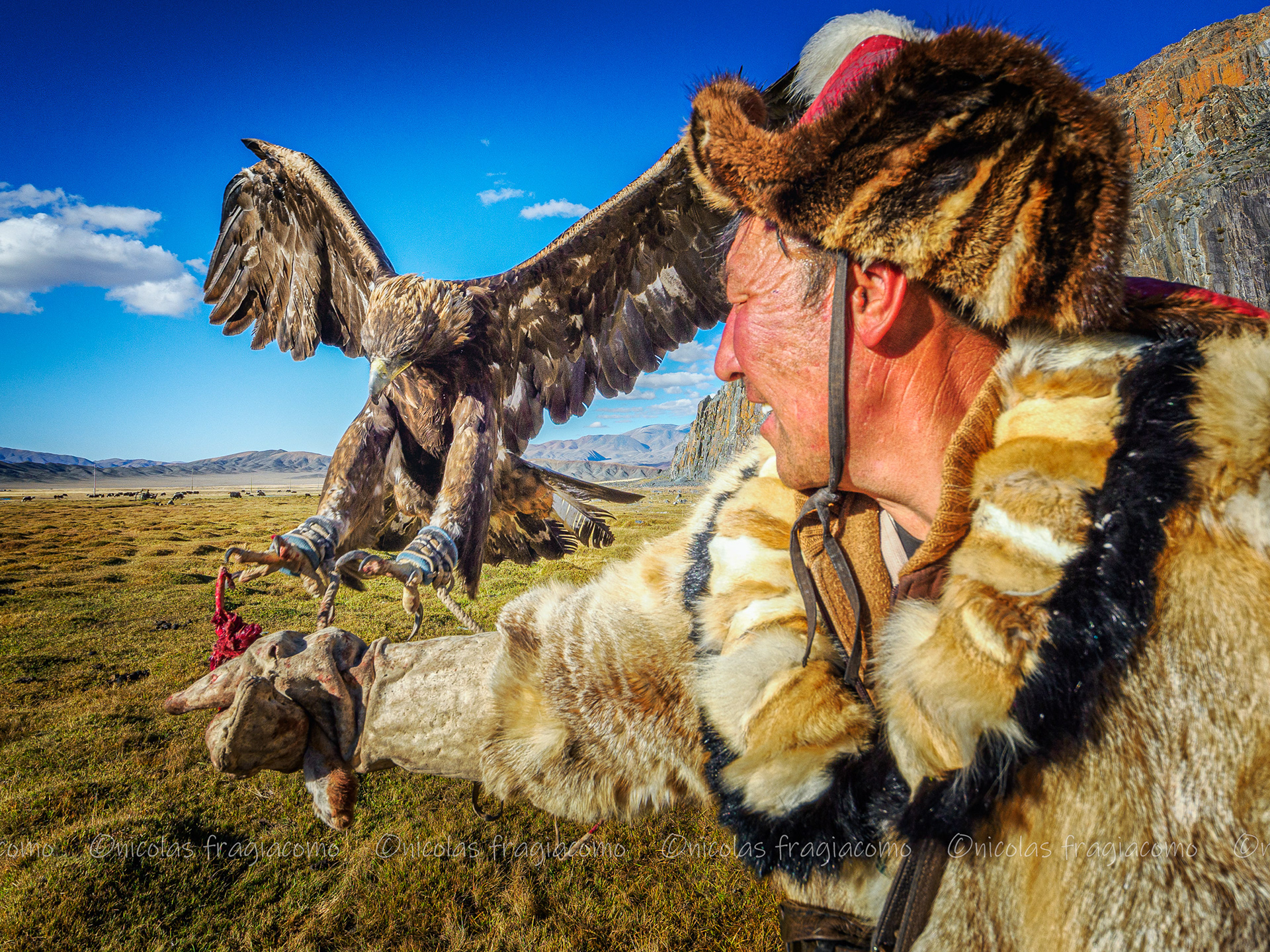 Golden Eagle Festival Mongolia
