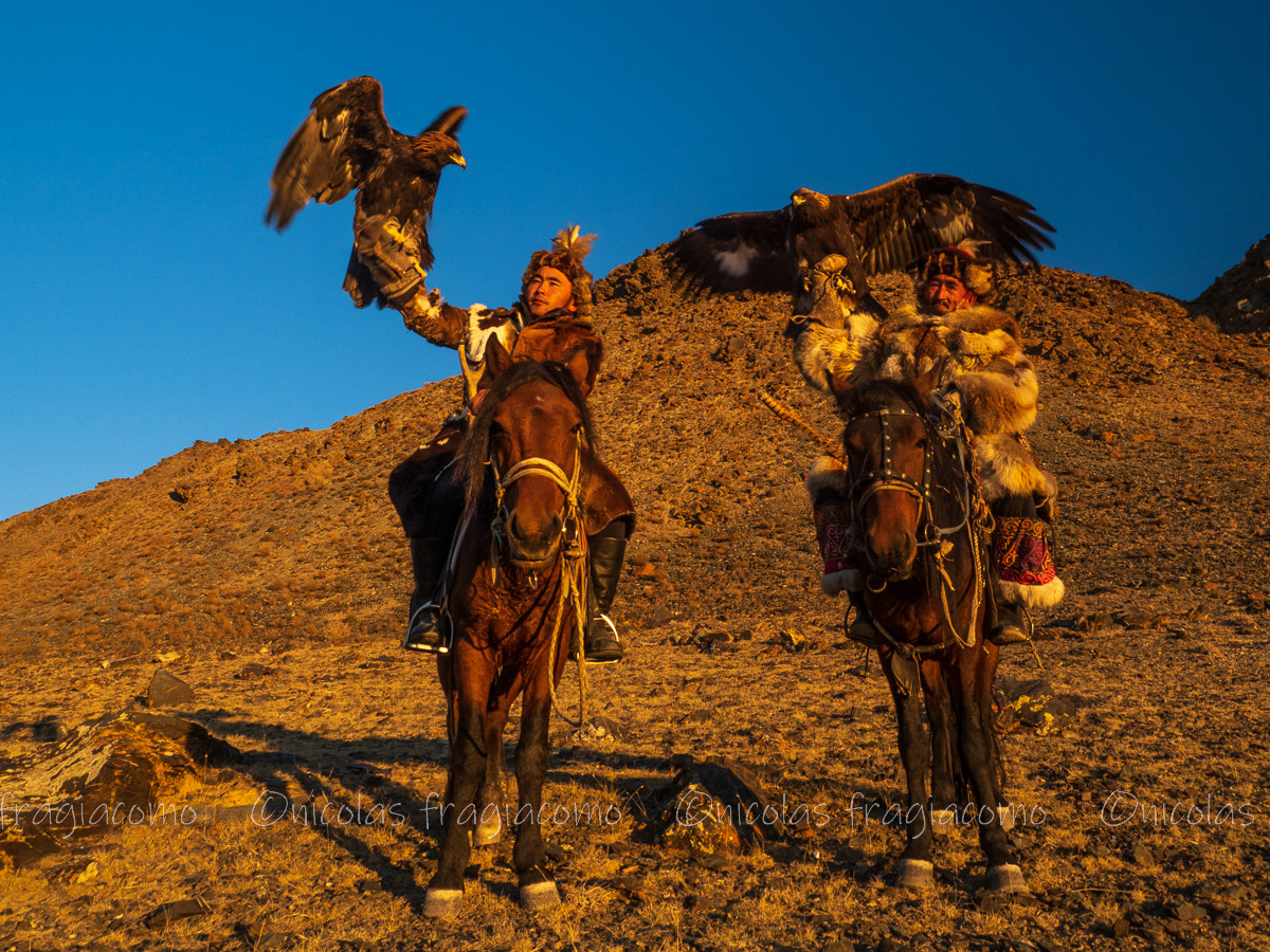 la chasse avec les aigles