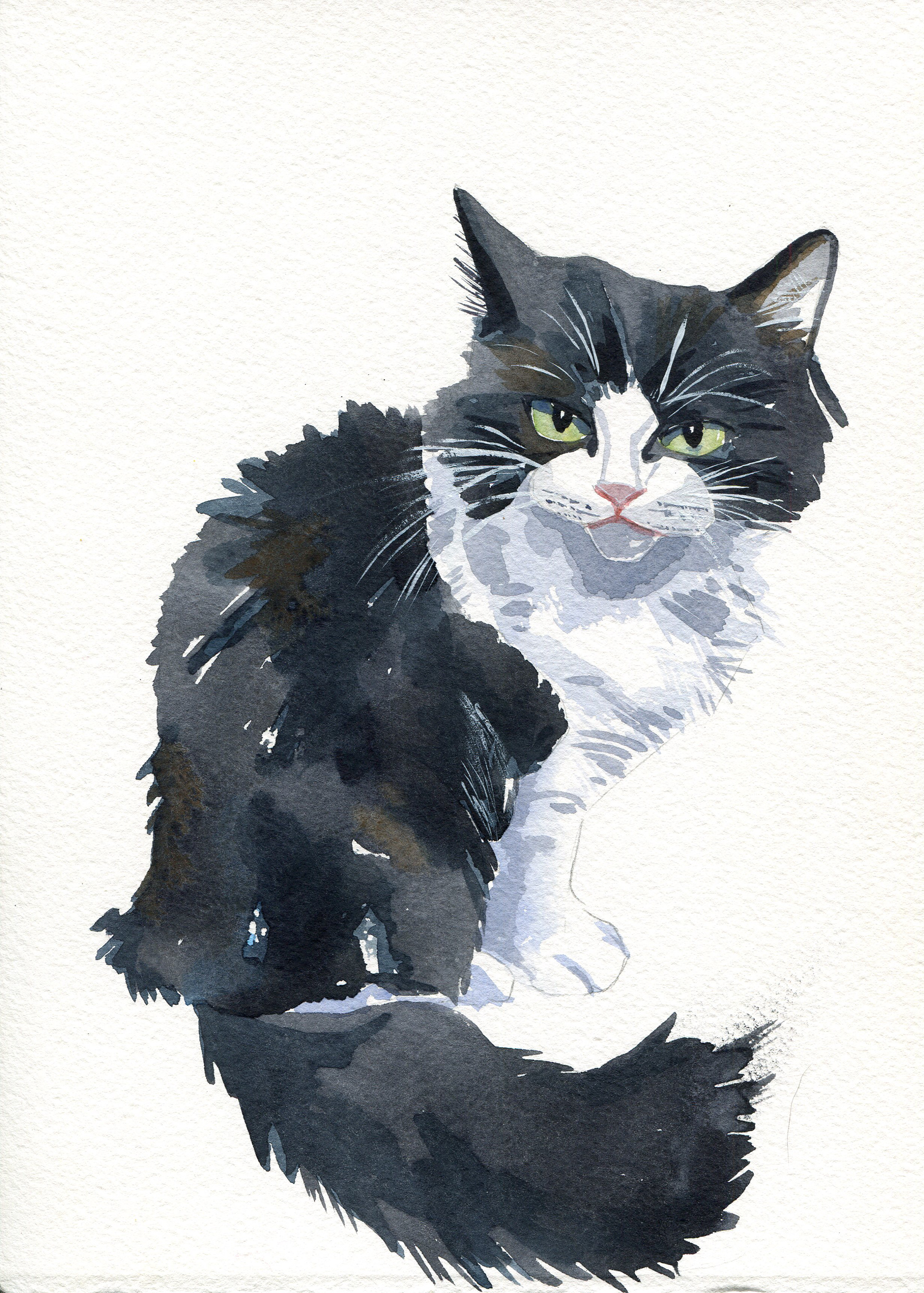 Black and white cat watercolour portrait