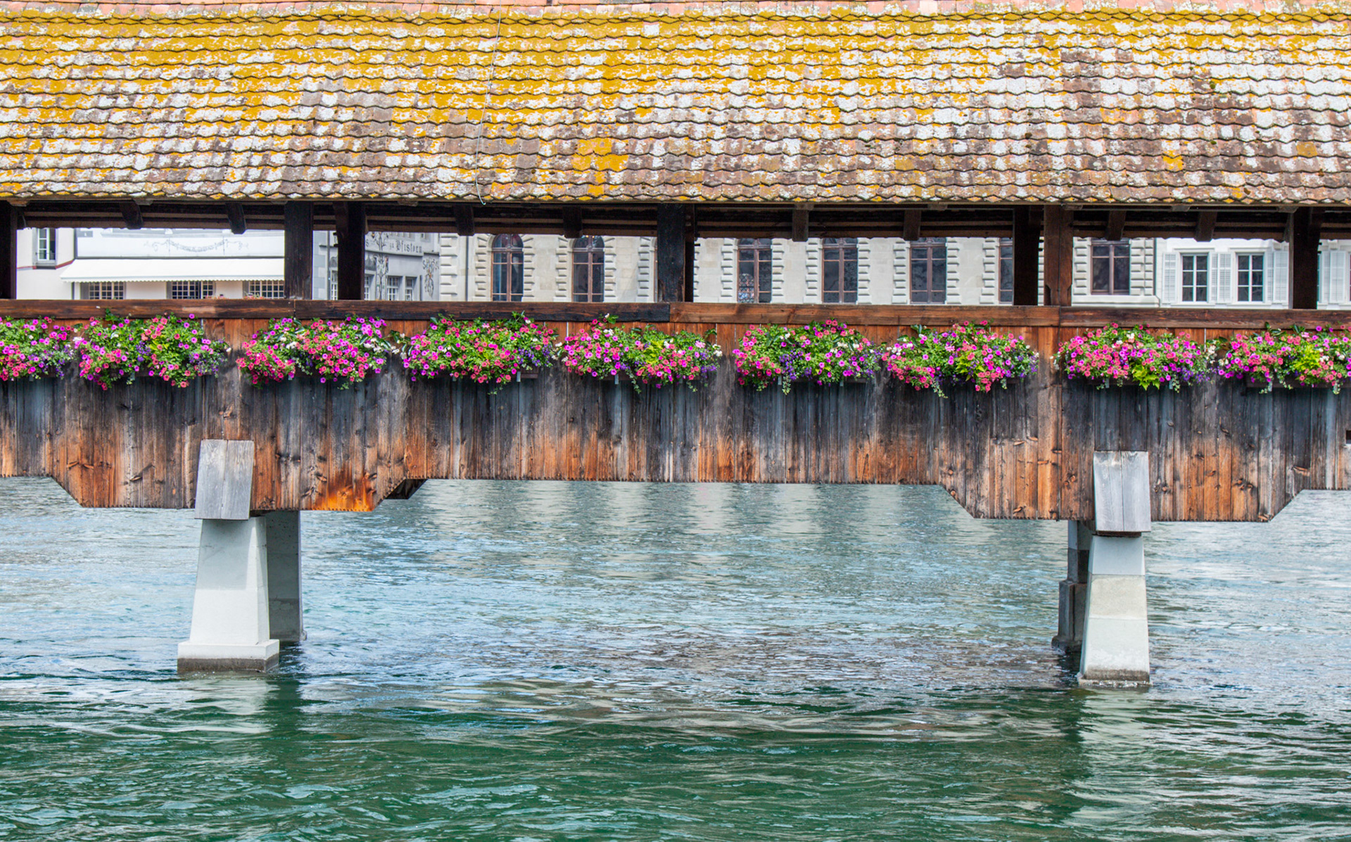 Water Bridge – Luzern, Switzerland 2024