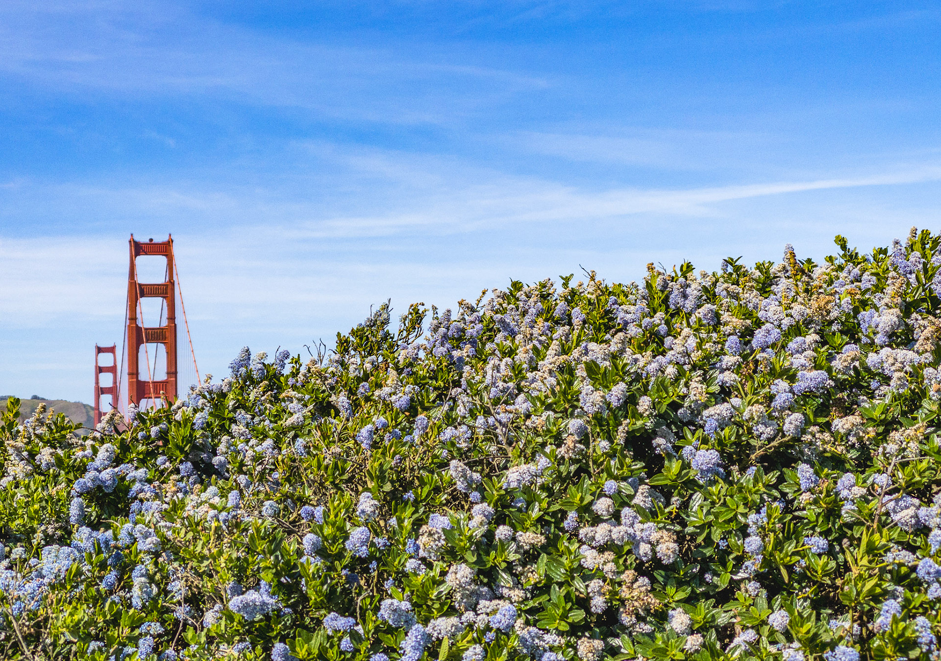 Golden Gate Bridge - San Francisco, California 2021