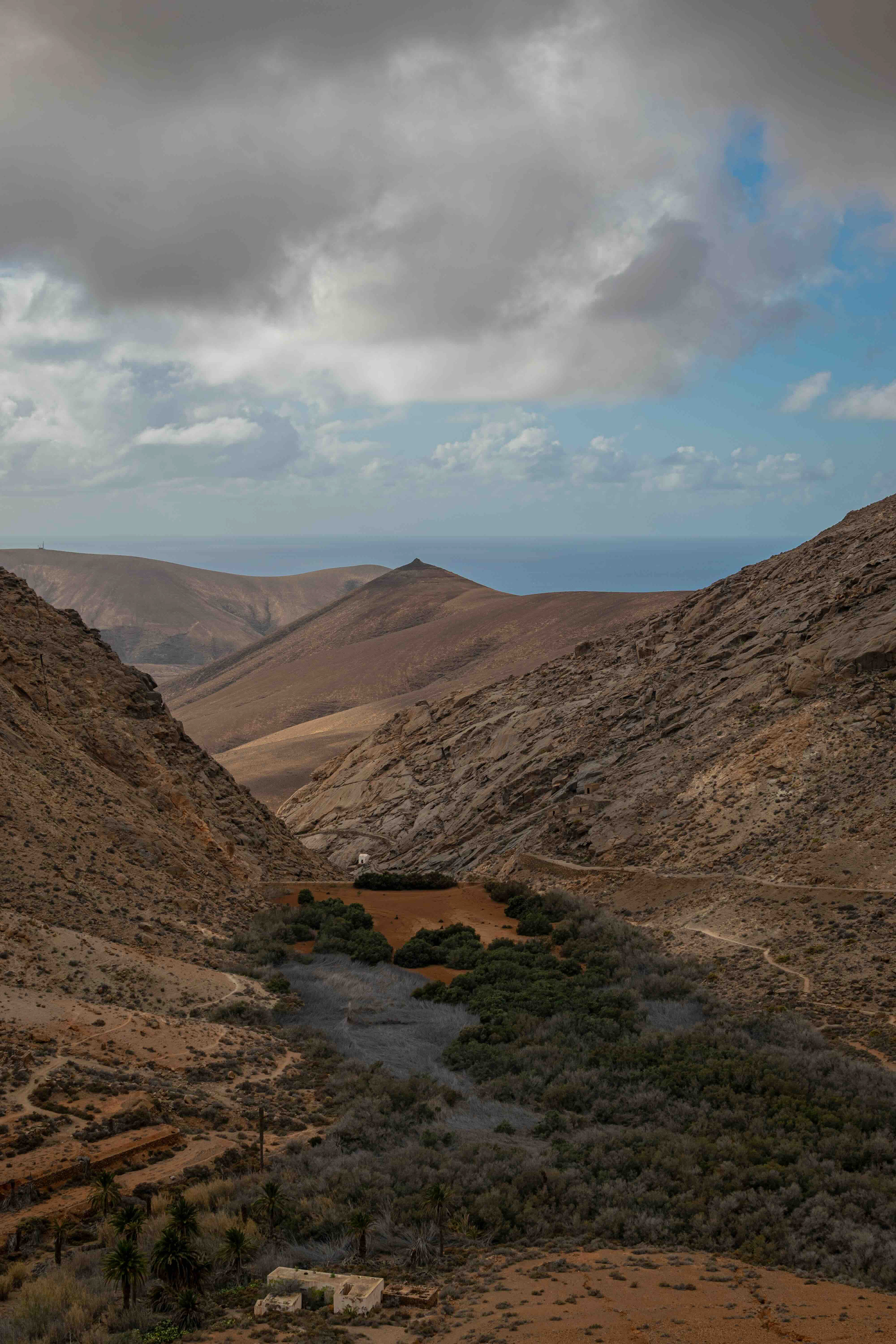 Seeking out the greenery of Fuerteventura