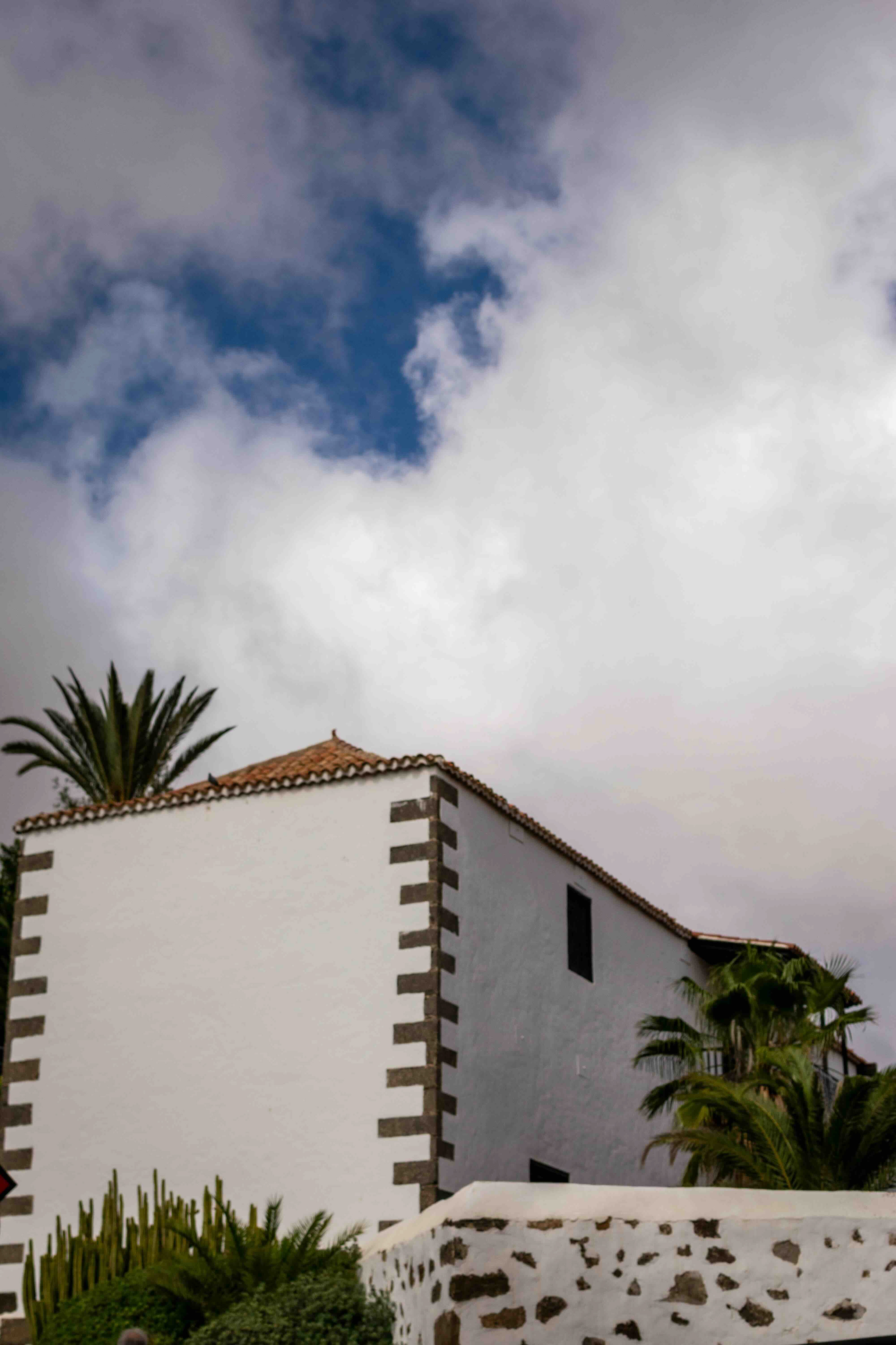 Paint and palm trees