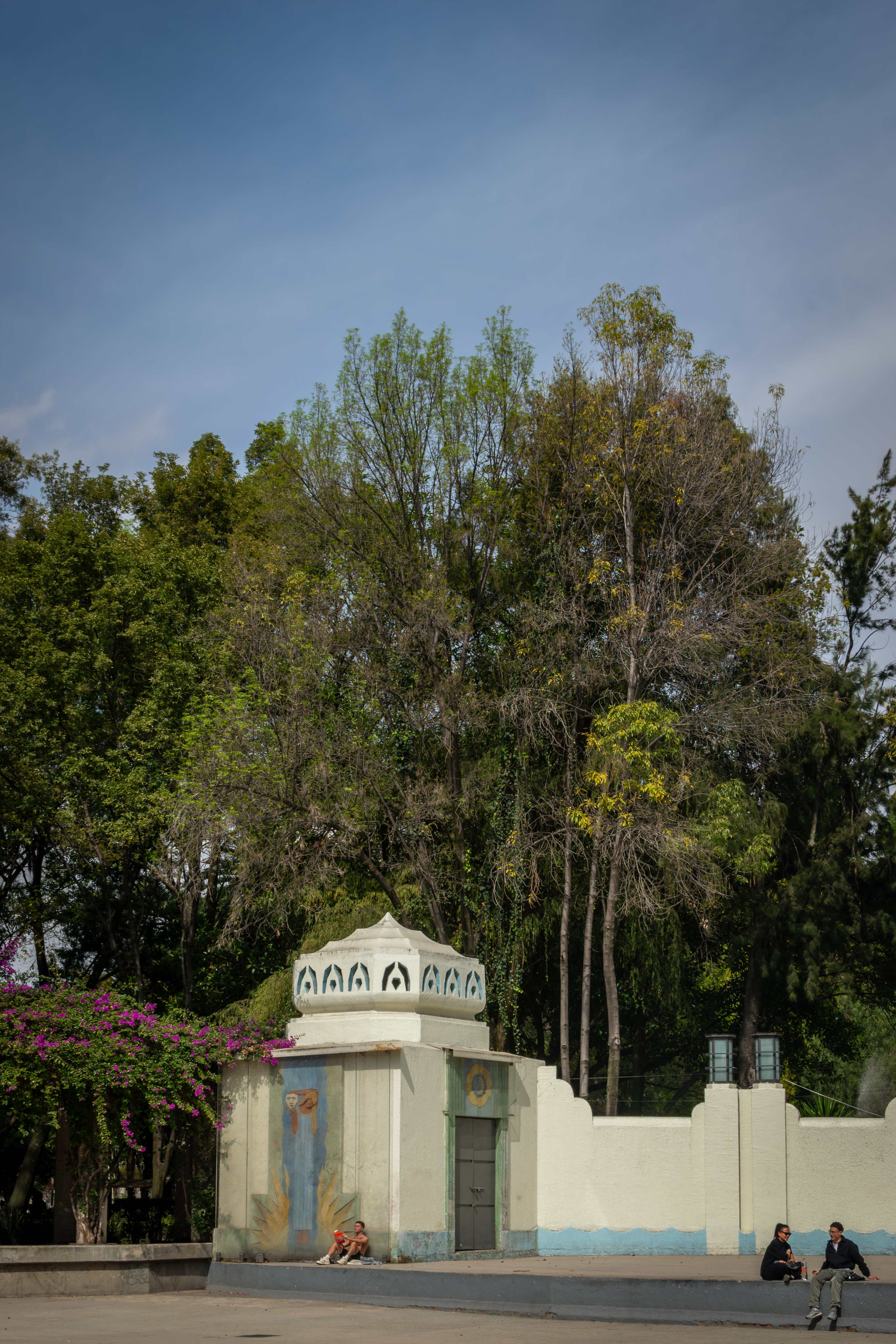 Hanging out in the park, Mexico City