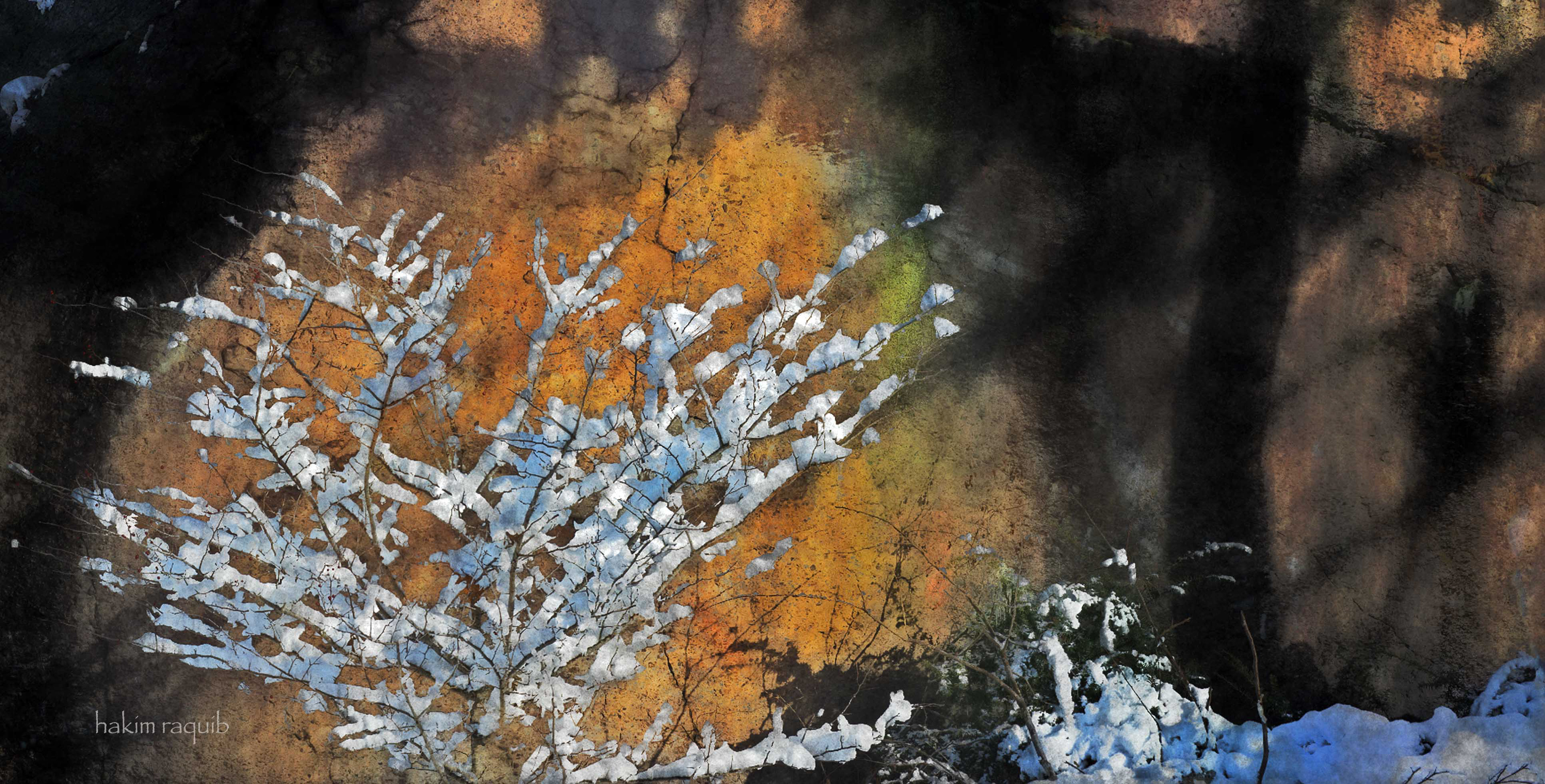 First Snow Franklin Park Roxbury MA