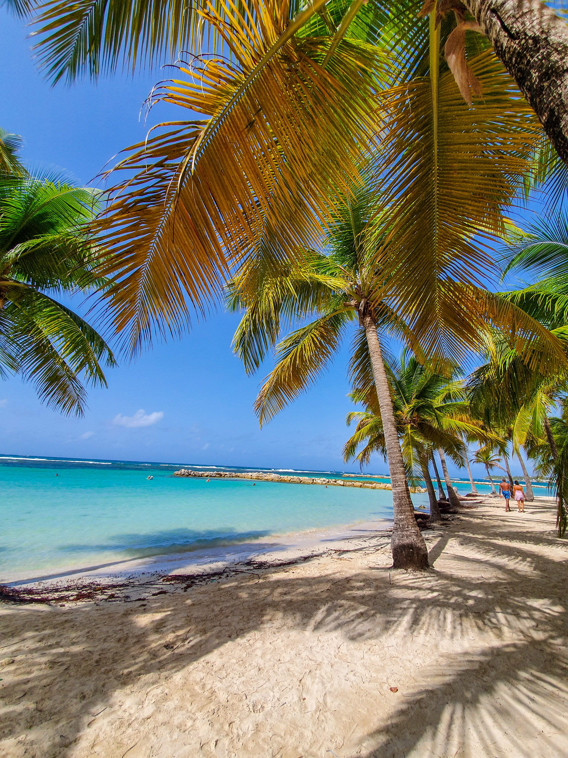 Guadeloupe