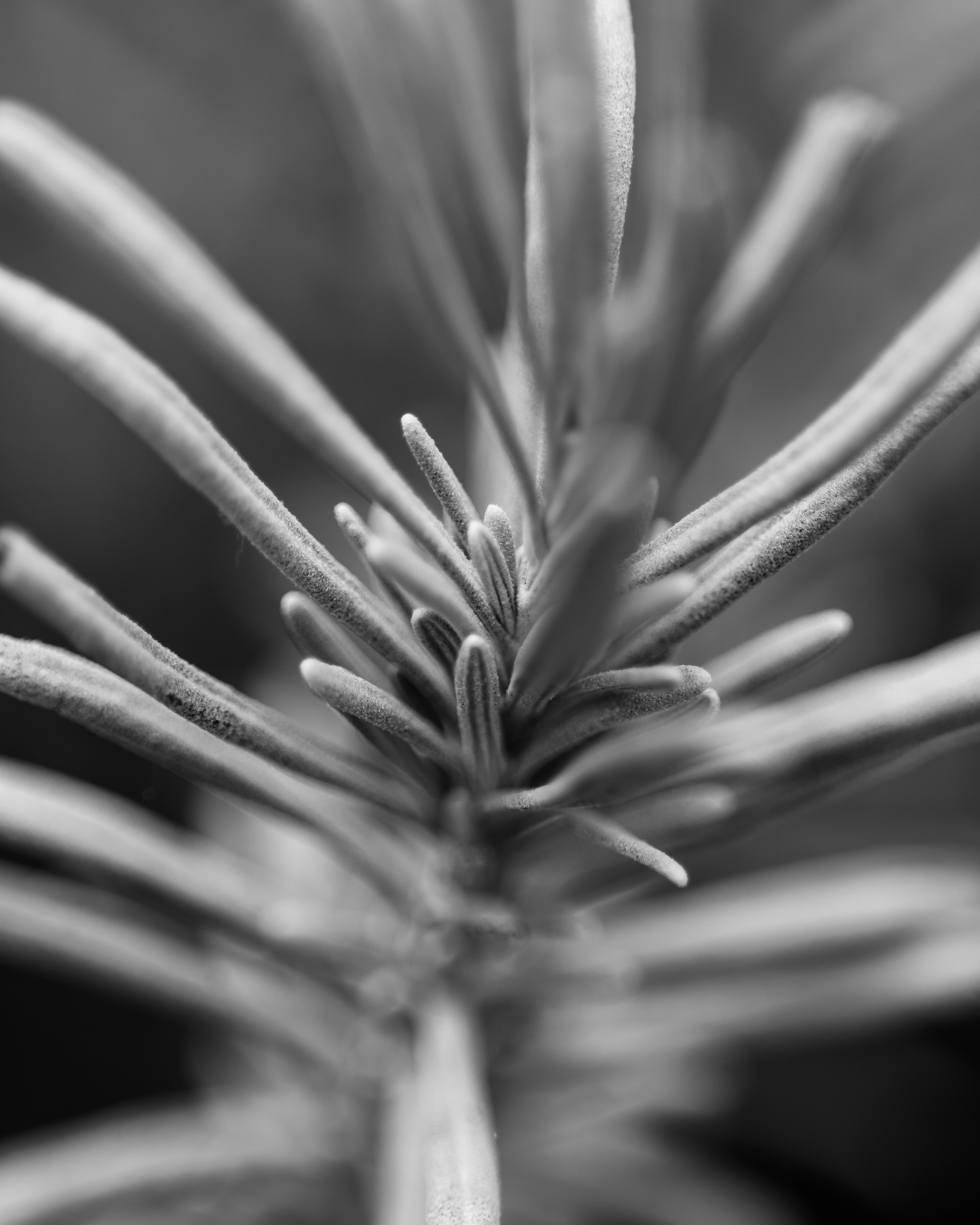 Texture