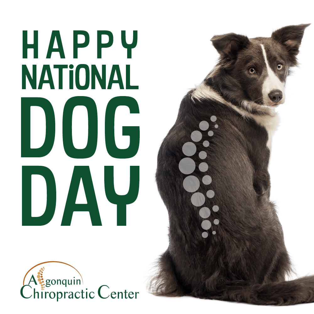 Algonquin Chiropractic Holiday Post